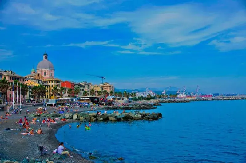 View (from property/room) in Hotel Mediterranee