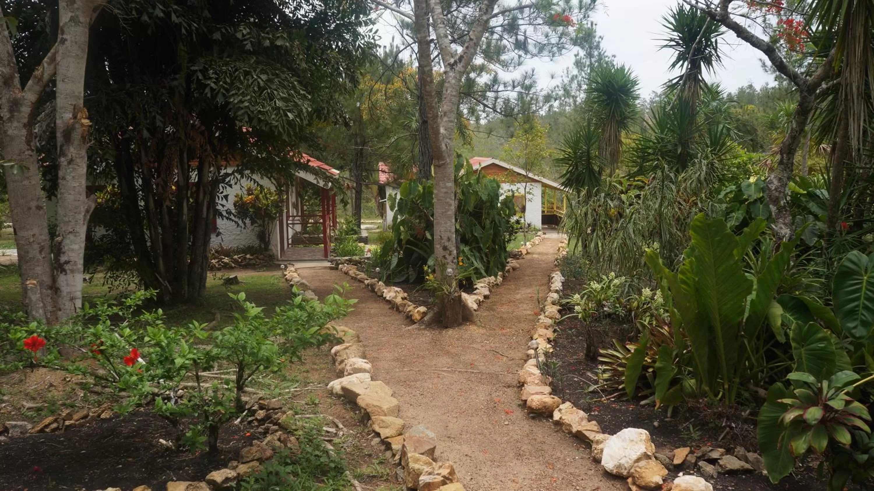 Garden view in Pine Ridge Lodge