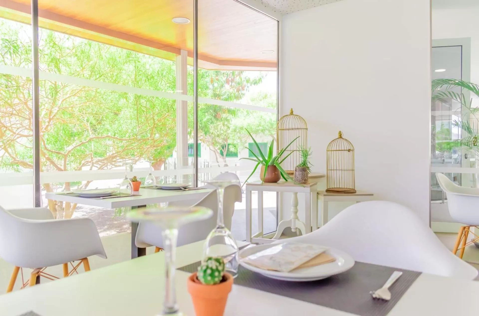 Restaurant/places to eat in Hyde Park Lane