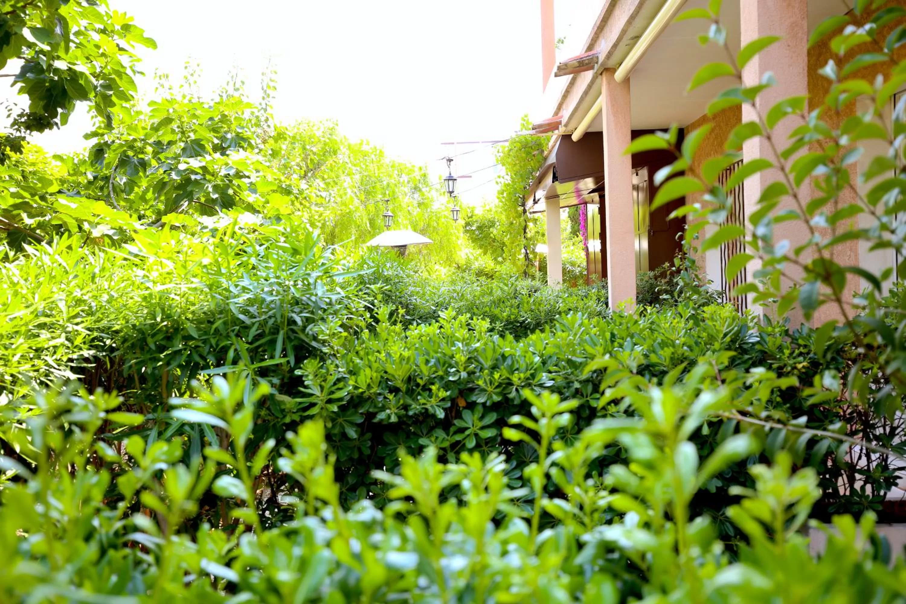 Garden in Hotel Royal Bon Repos