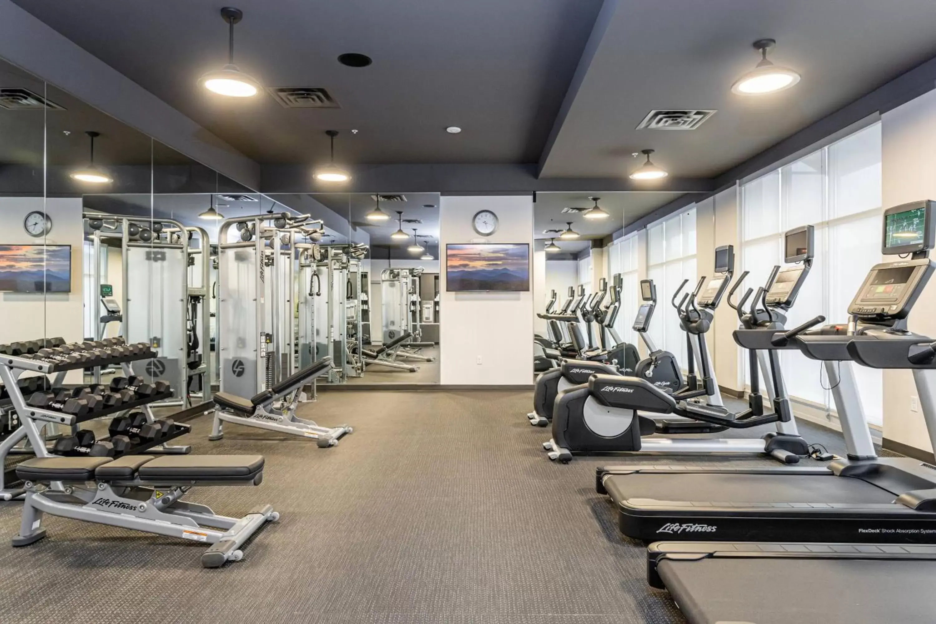 Fitness centre/facilities, Fitness Center/Facilities in Courtyard Asheville Biltmore Village