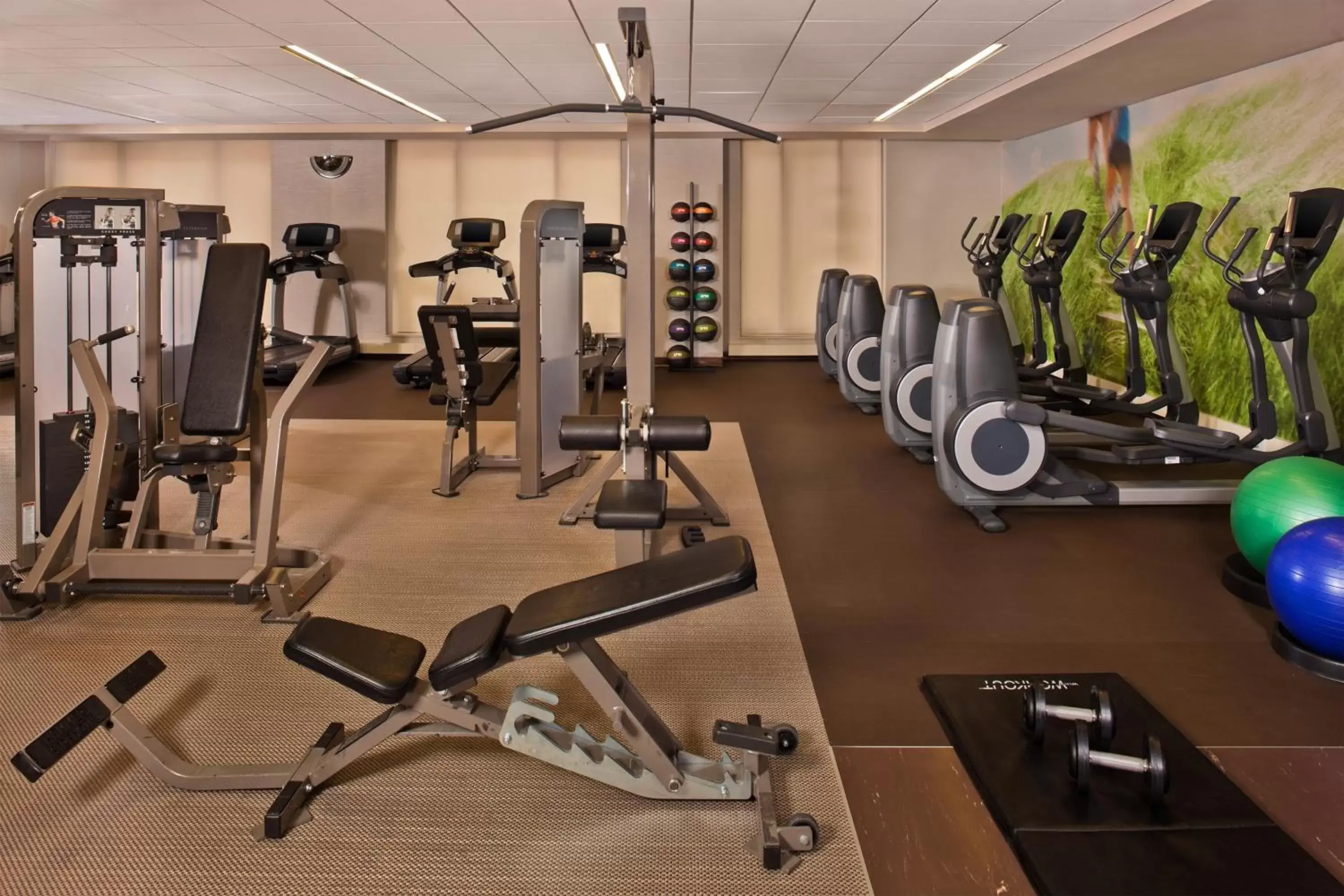 Fitness centre/facilities, Fitness Center/Facilities in The Westin Book Cadillac Detroit
