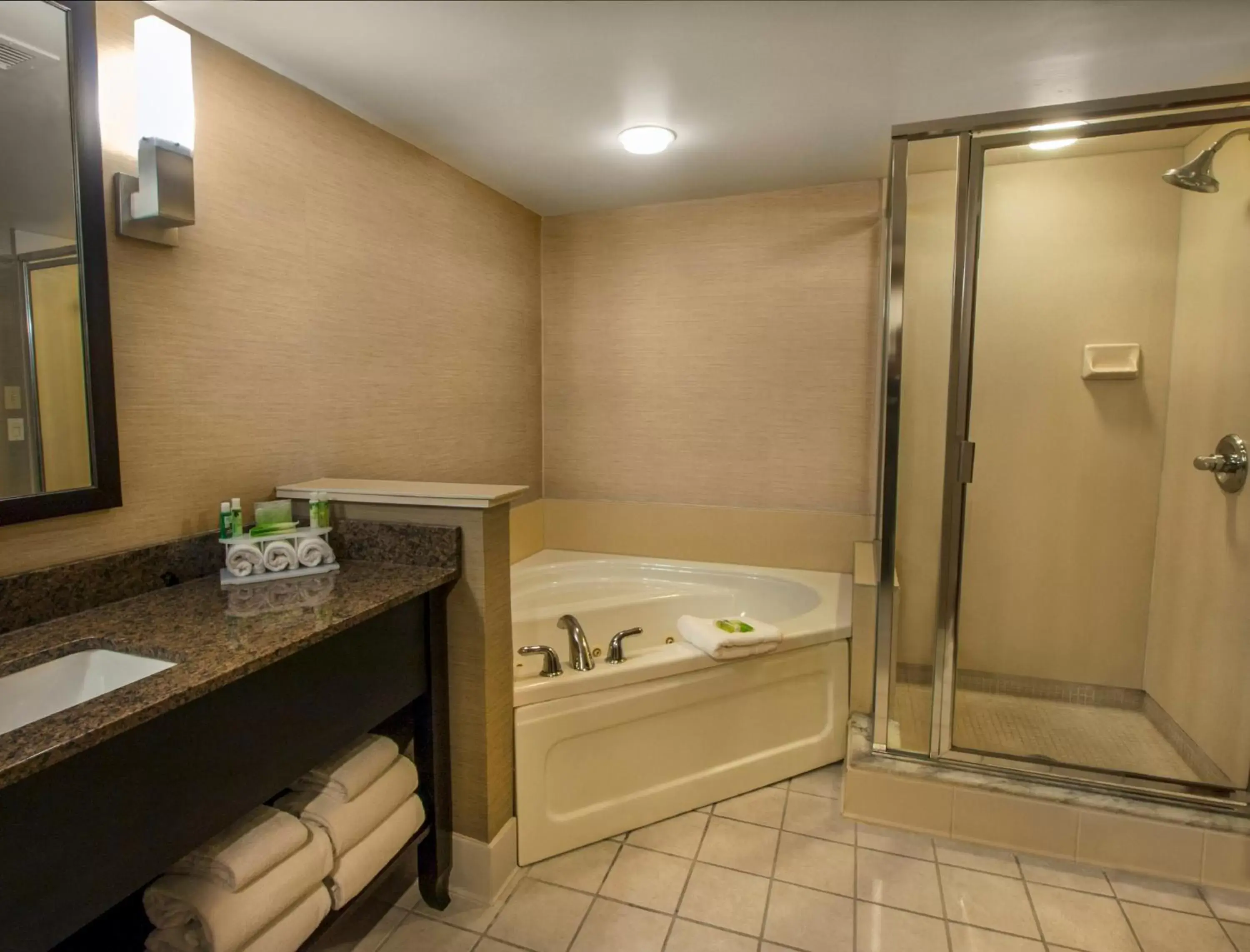 Bathroom in Holiday Inn Express & Suites Buffalo Airport, an IHG Hotel