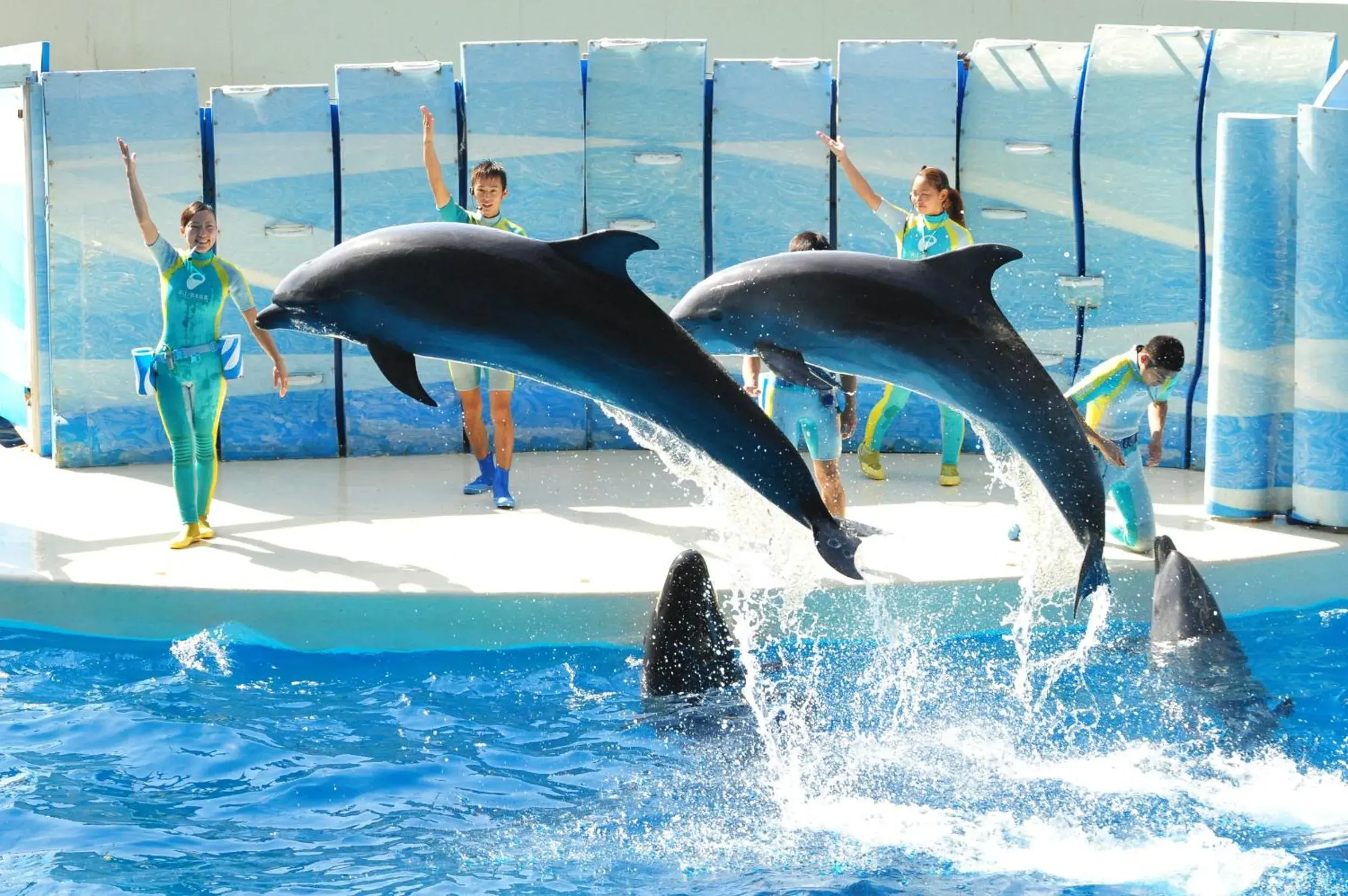 Nearby landmark, Water Park in Sotetsu Fresa Inn Kamakura-Ofuna Higashiguchi