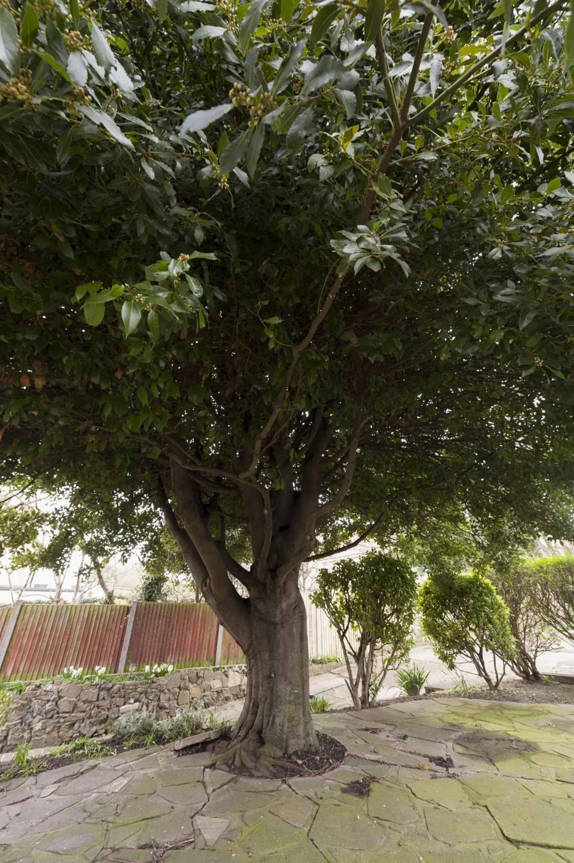 Other in Bay Tree Broadstairs