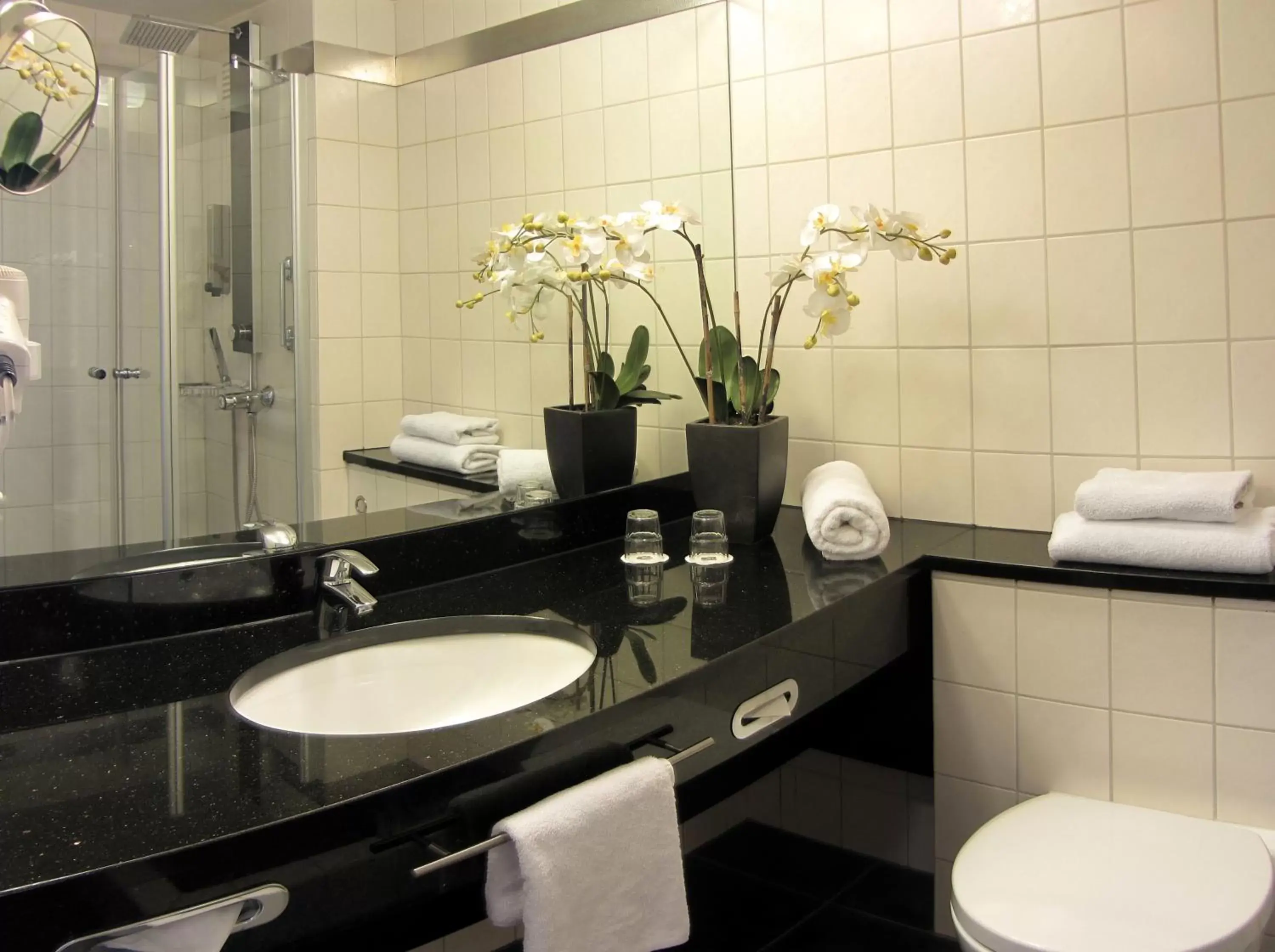 Photo of the whole room, Bathroom in Best Western Plaza Hotel Stuttgart-Filderstadt