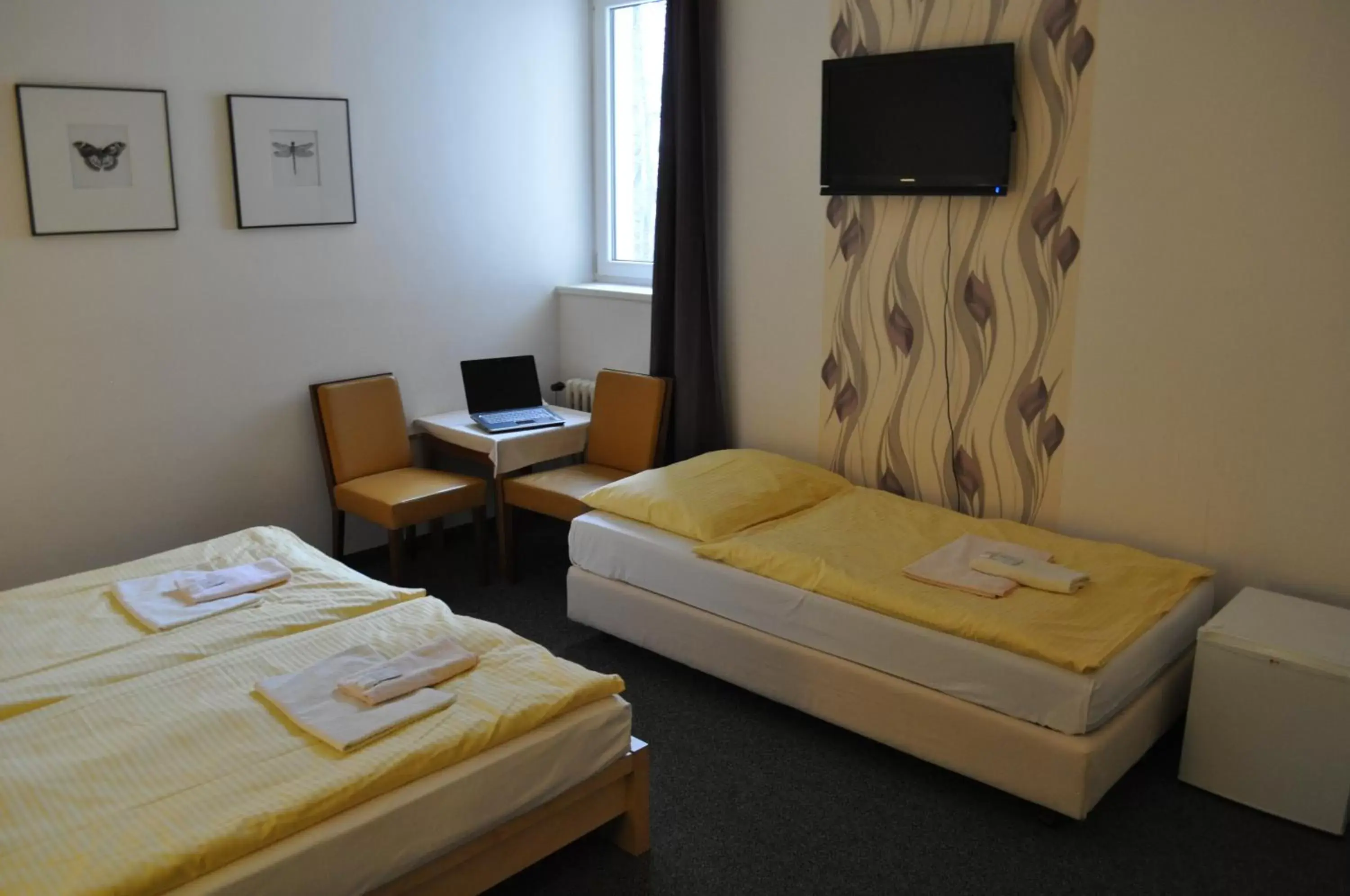 Triple Room in Hotel Svornost