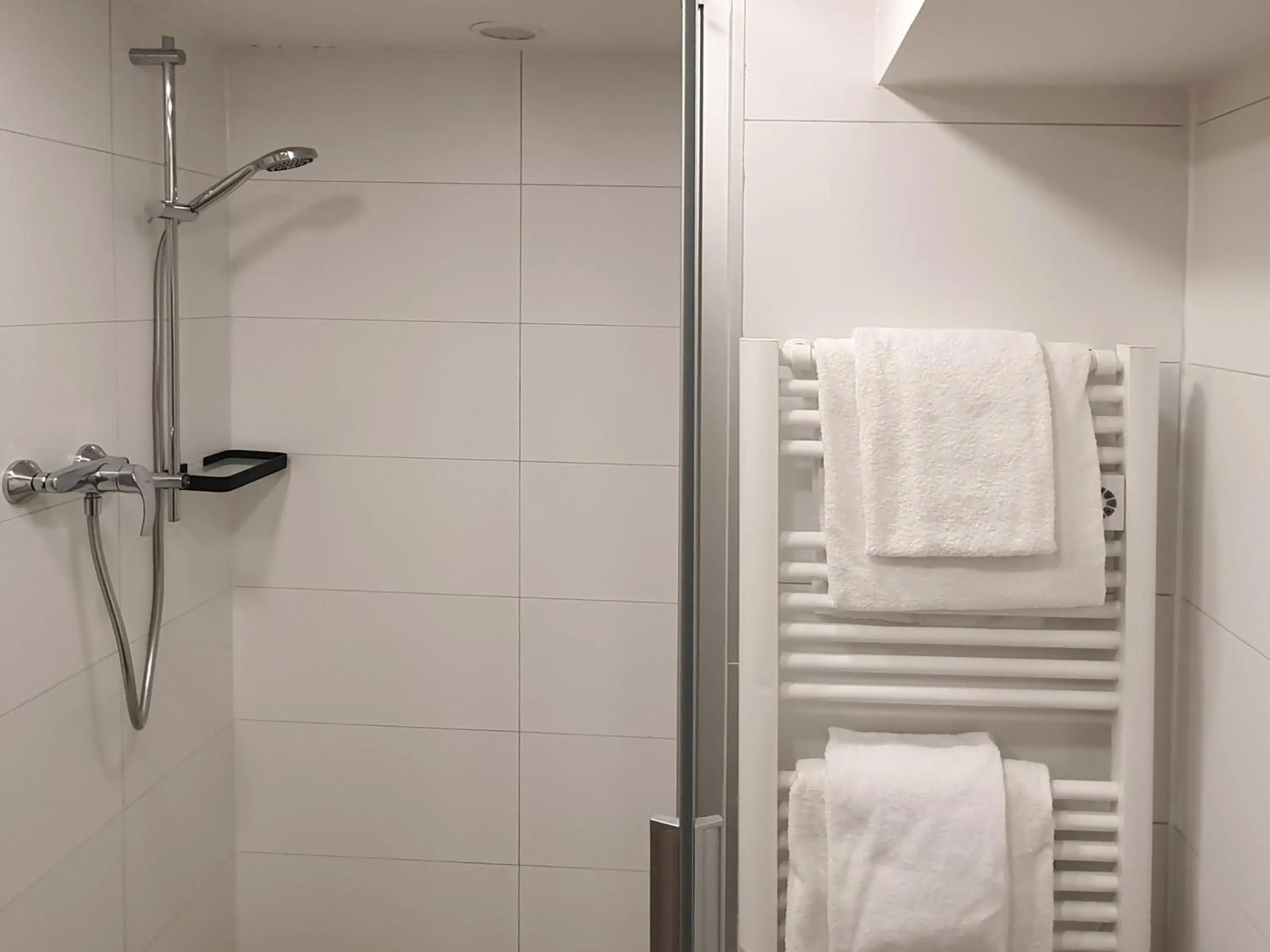 Shower, Bathroom in Hotel Rheingold