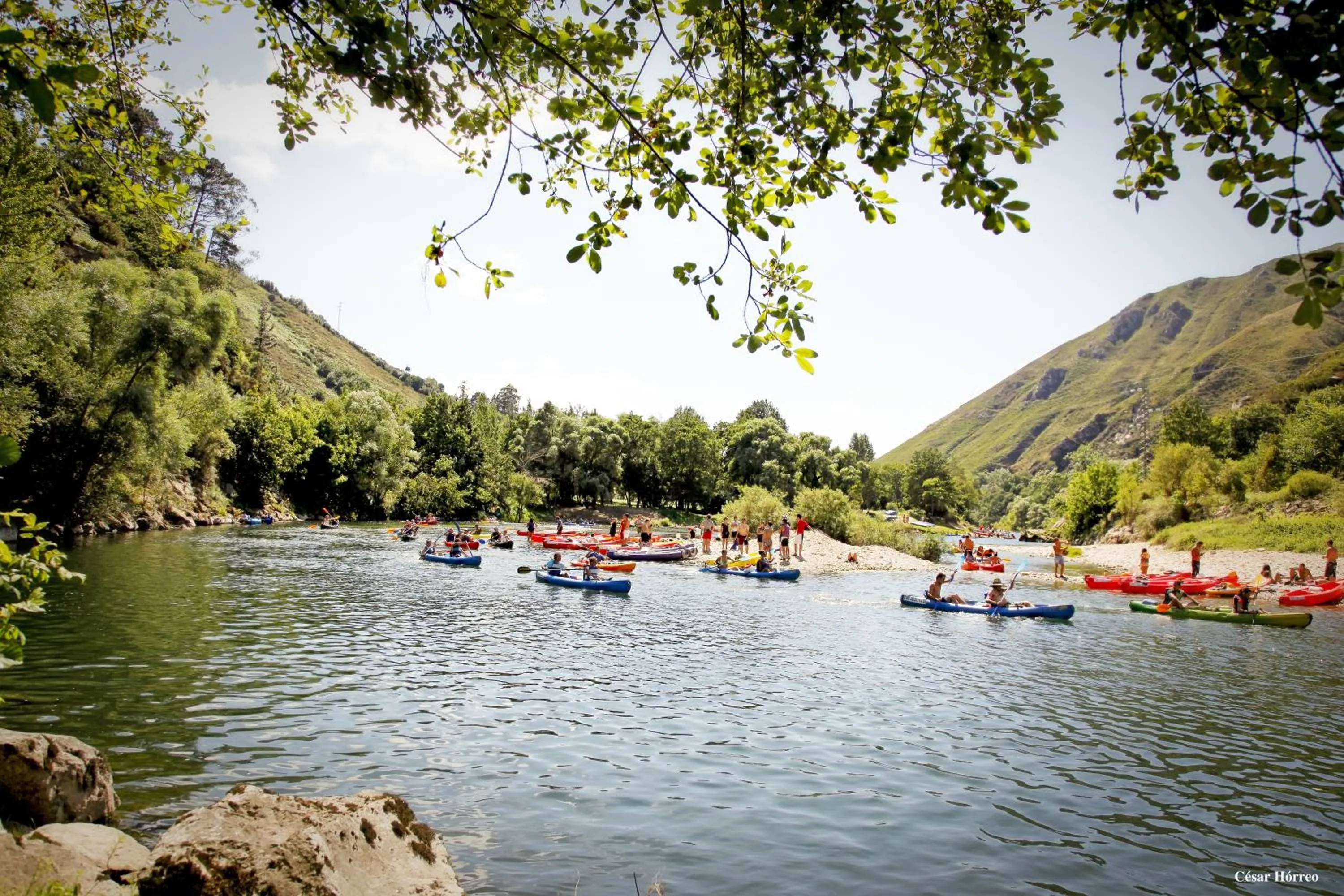 Entertainment in Hotel Los Robles