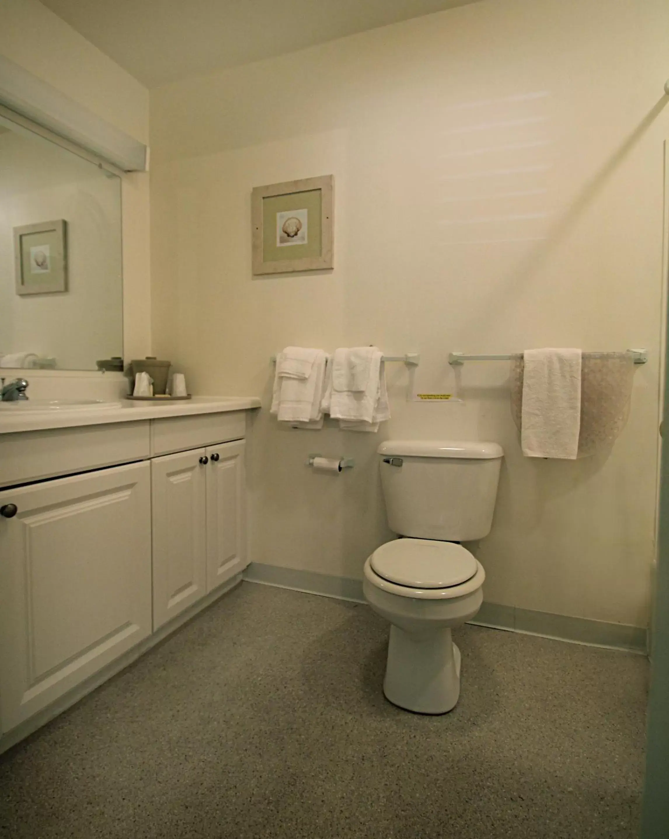 Toilet, Bathroom in Hamilton Village Inn