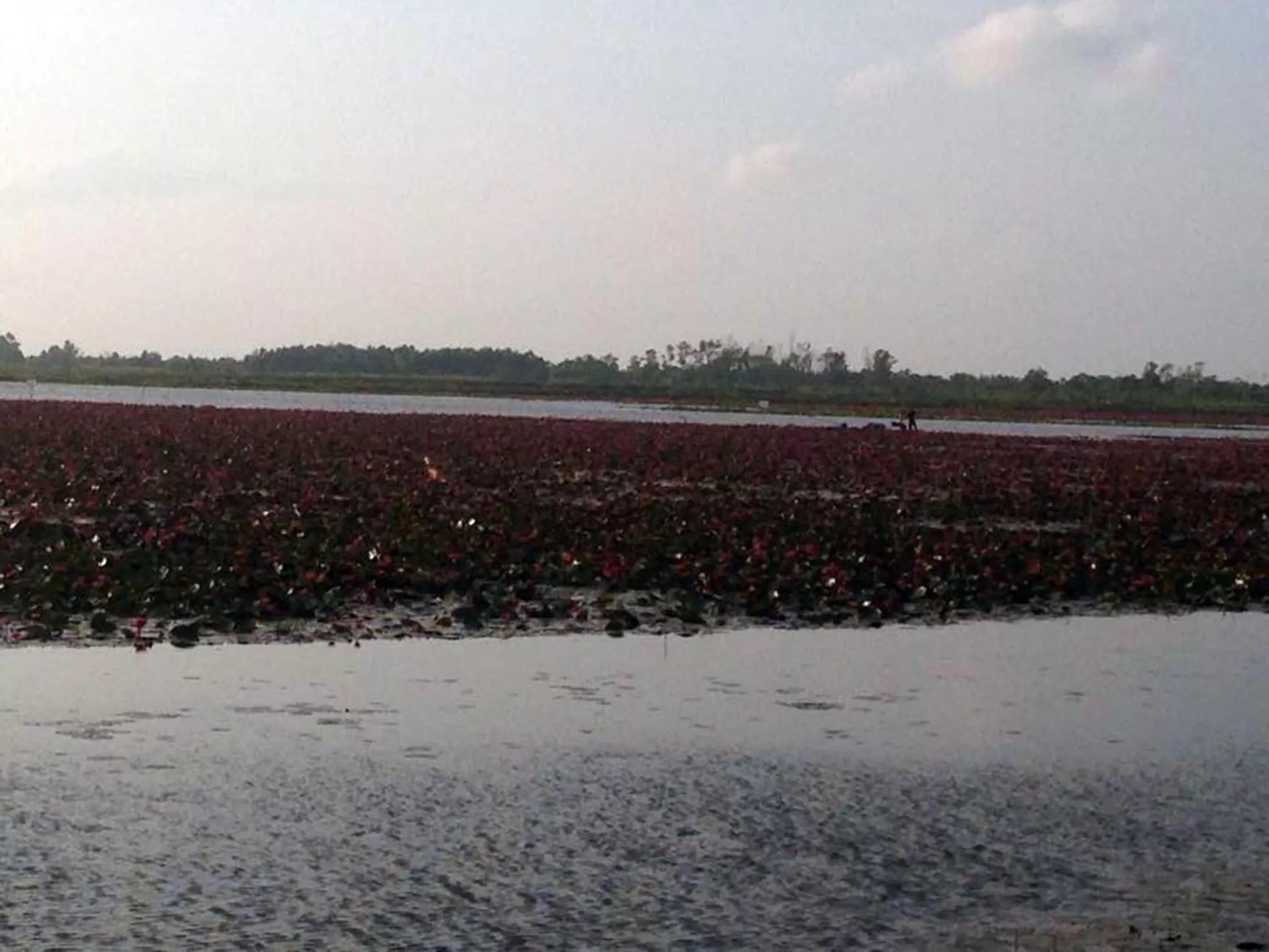 Neighbourhood in Chuanchom Resort