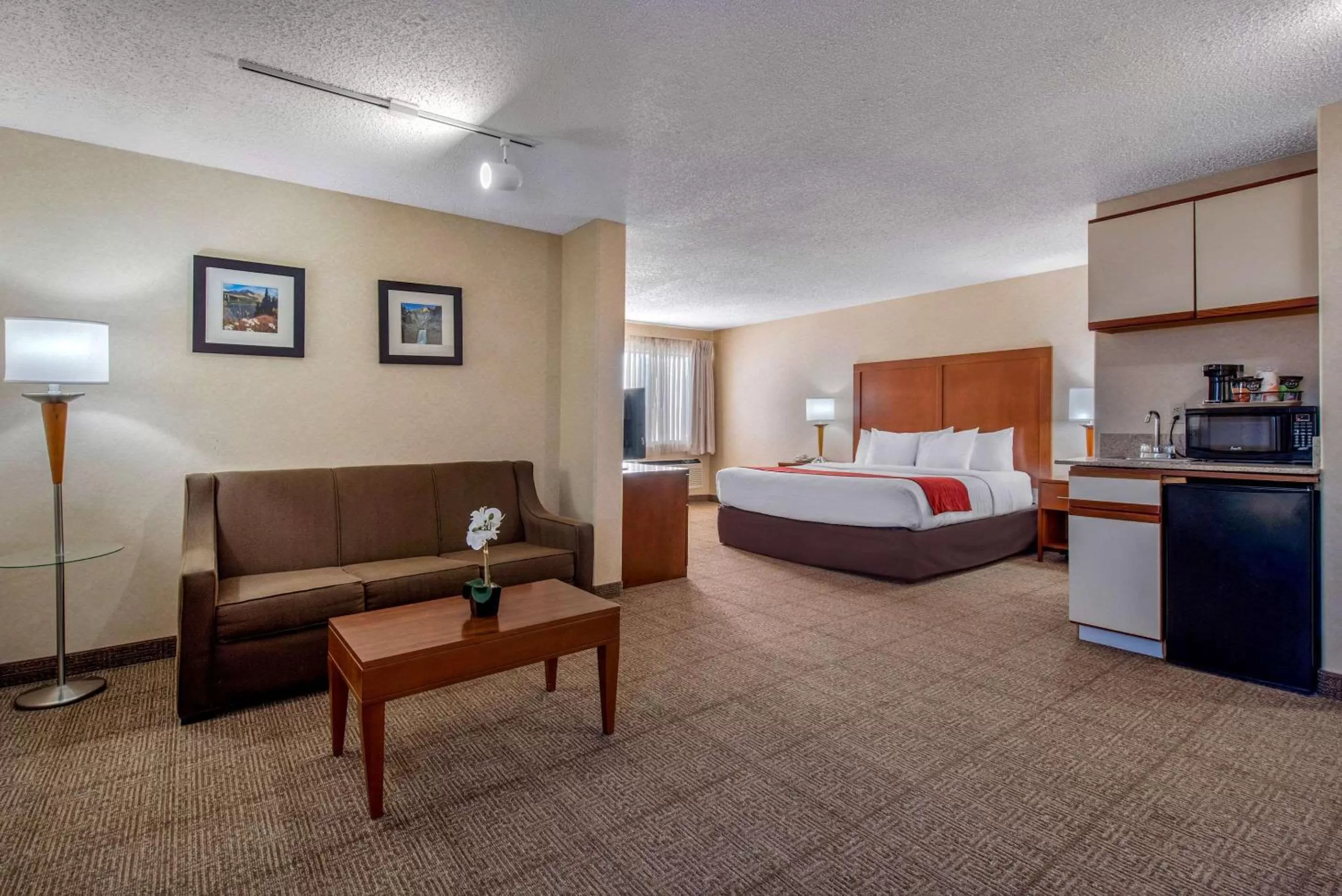Photo of the whole room, Bed in Comfort Inn Denver Southeast Area