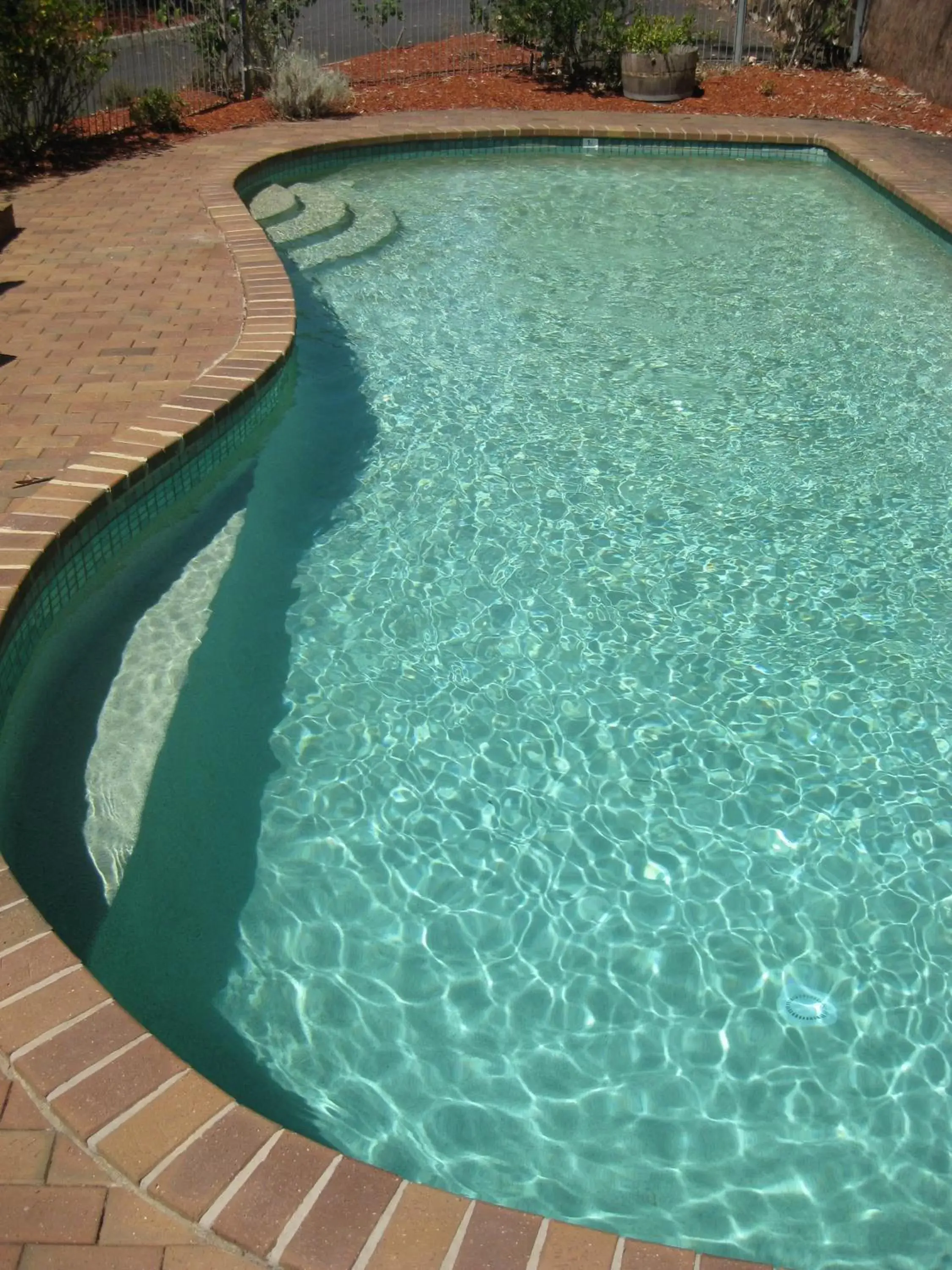 Swimming Pool in Eltham Motor Inn