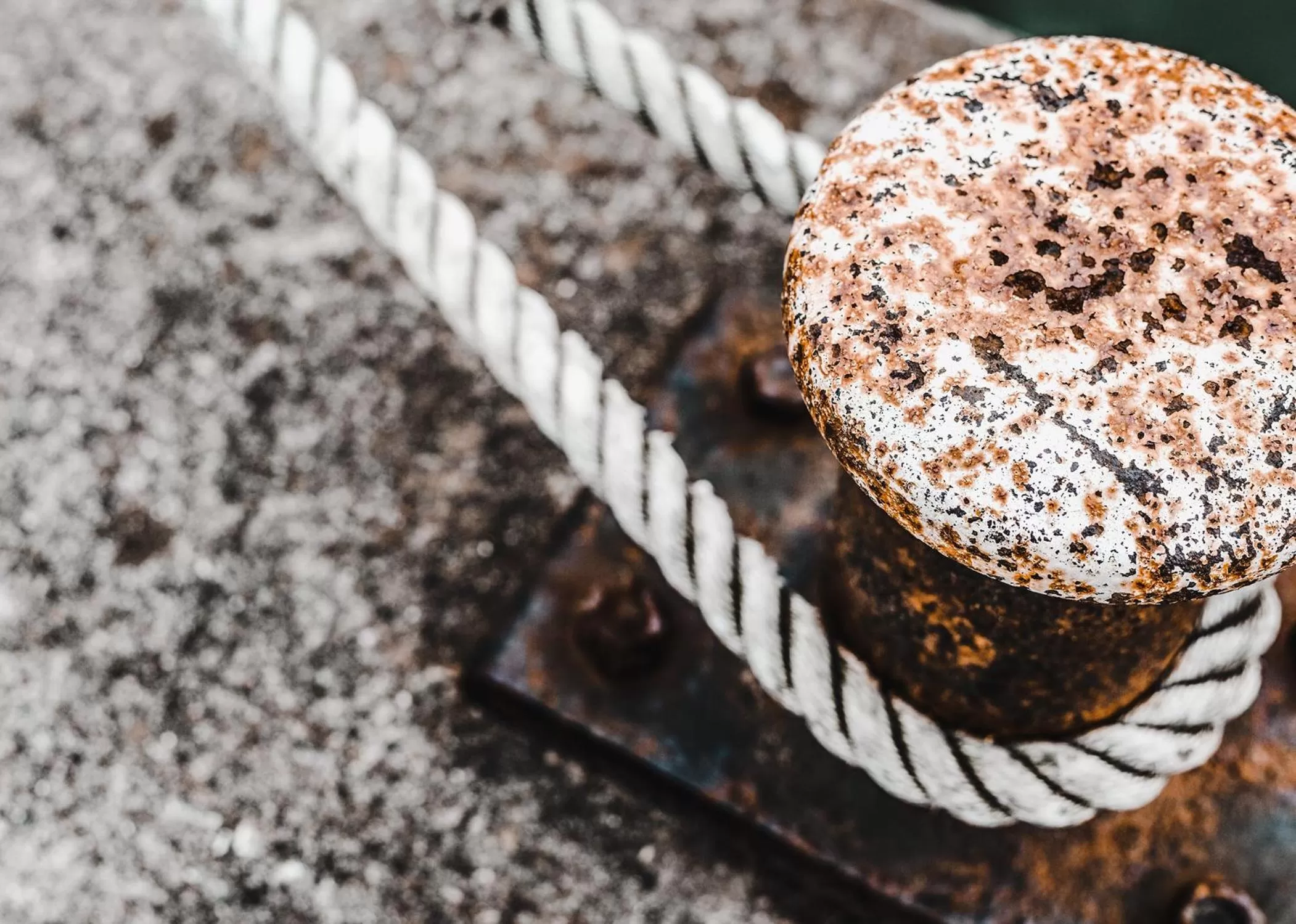 Area and facilities in Hotel Tum Stüürmann