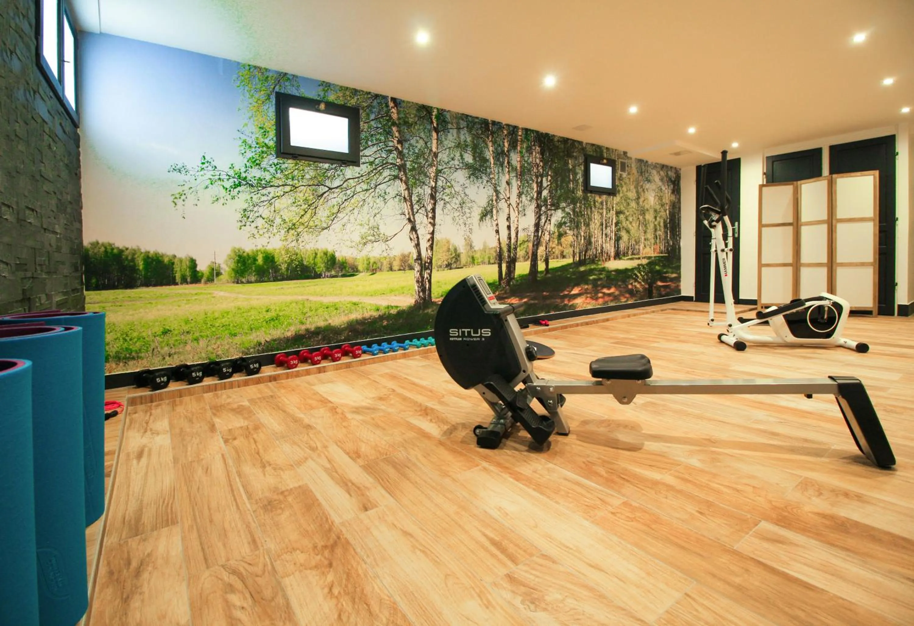 Fitness centre/facilities in Hotel Roses