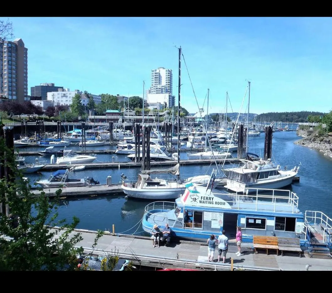 Neighbourhood in Painted Turtle Guesthouse