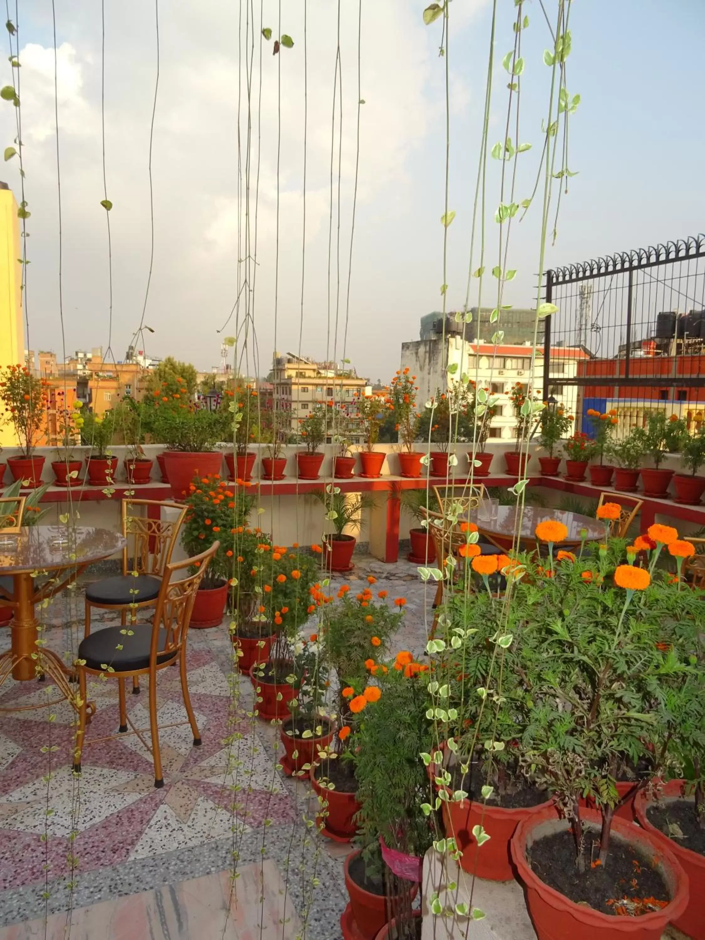 Garden in Kathmandu Grand Hotel