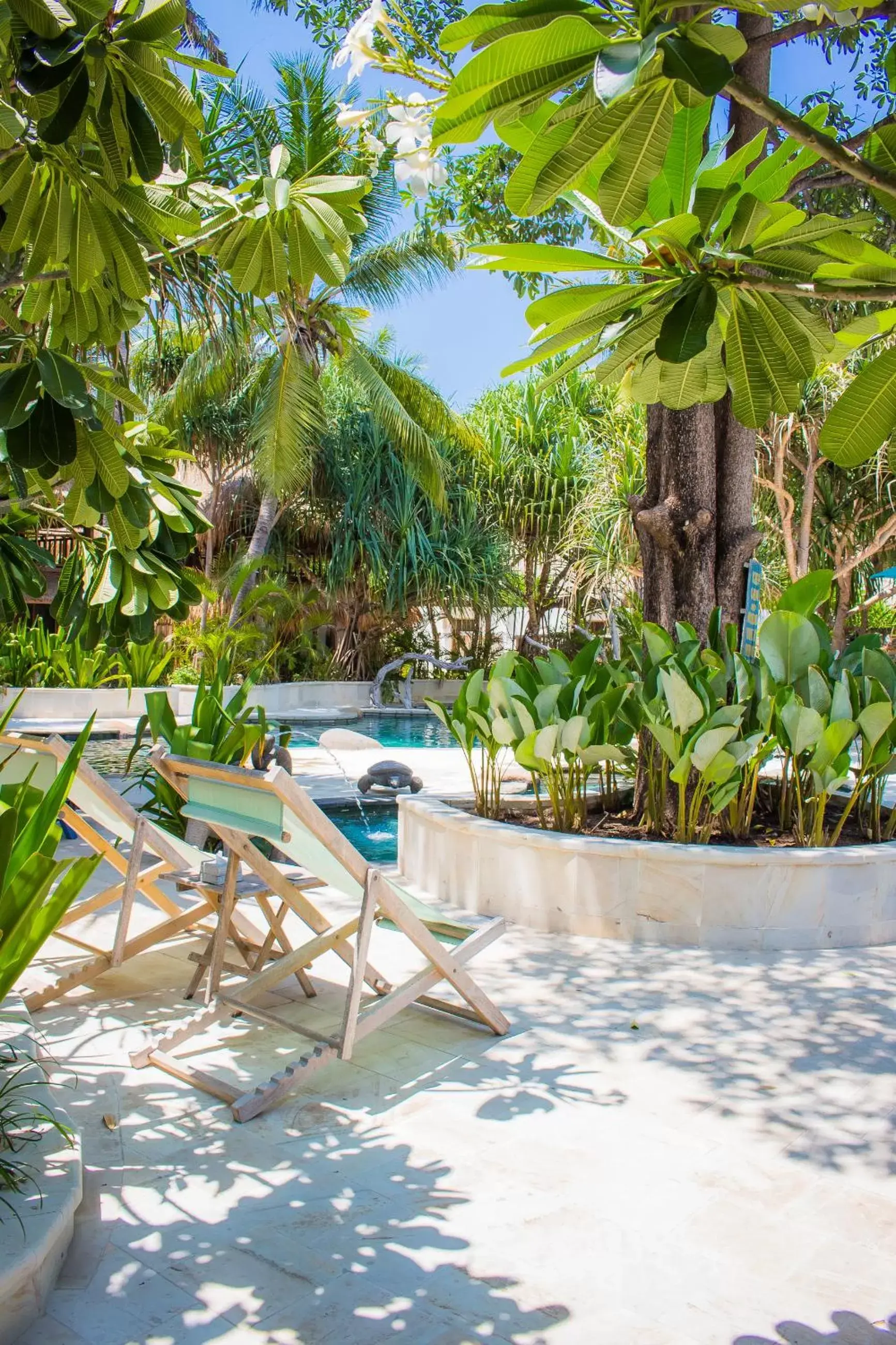 Garden view, Swimming Pool in Sunrise Resort