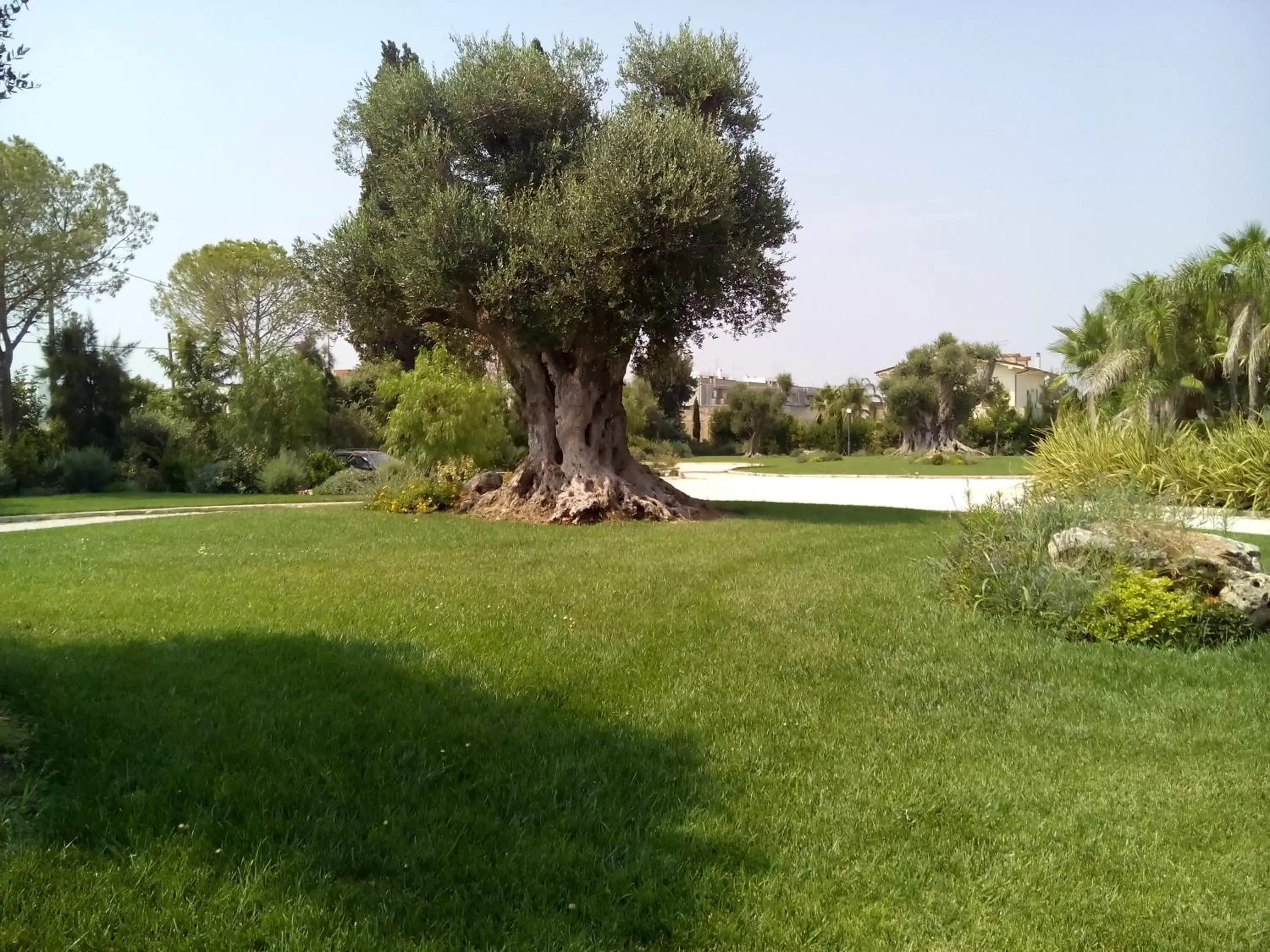 Garden in Relais Marchesi Imperiali B&b