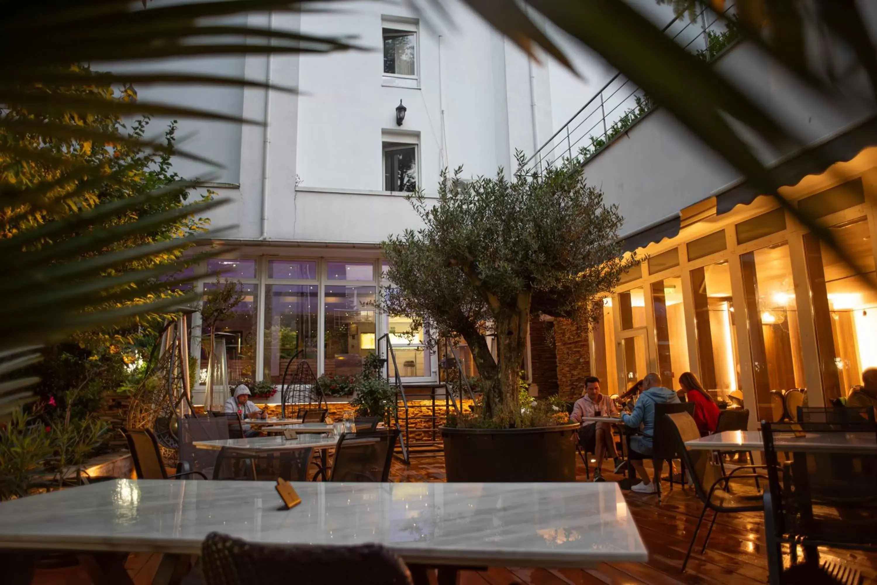 Seating area, Restaurant/Places to Eat in Hotel Carpathia