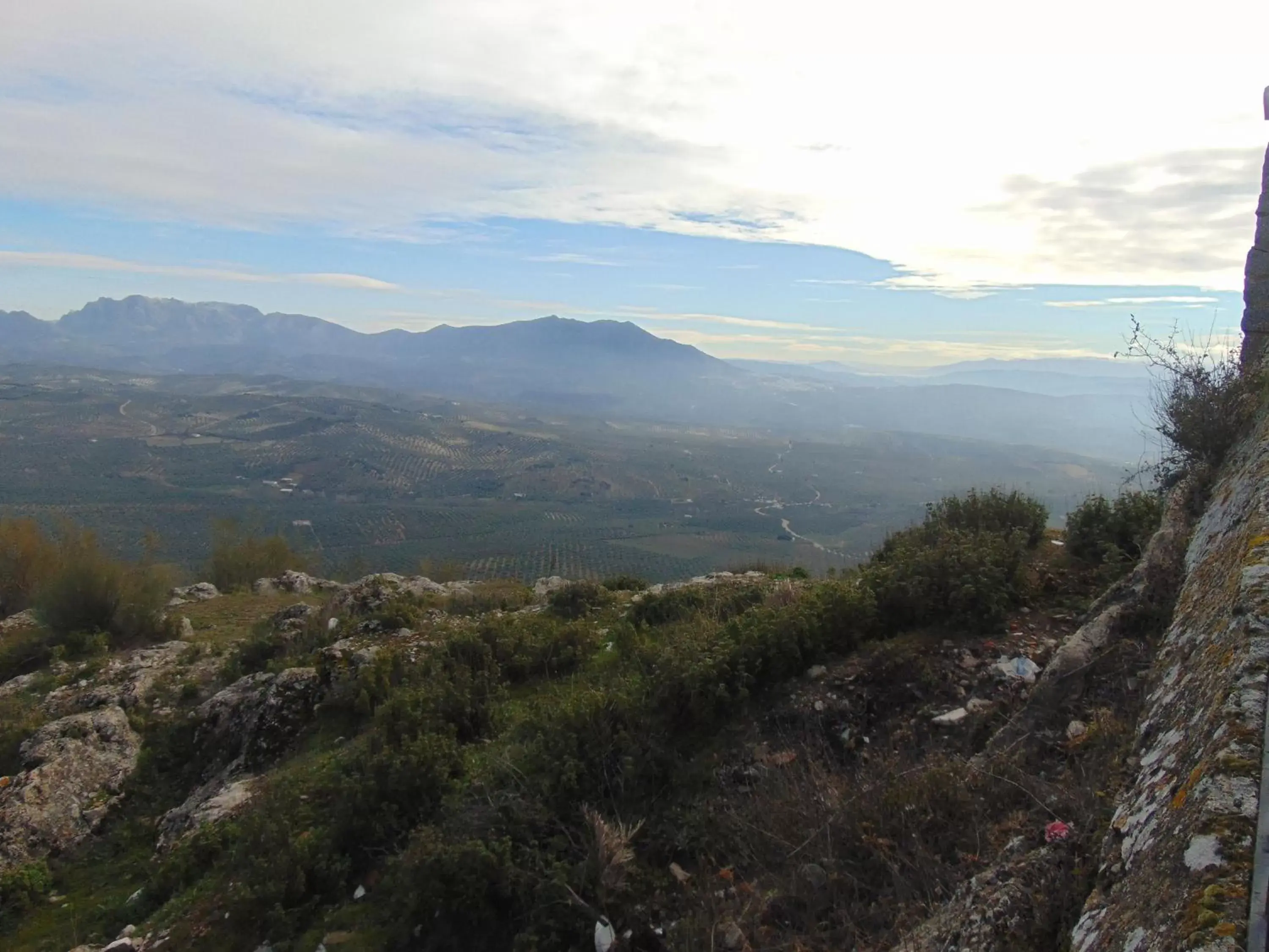 Area and facilities in Hotel Sierra de Araceli Lucena