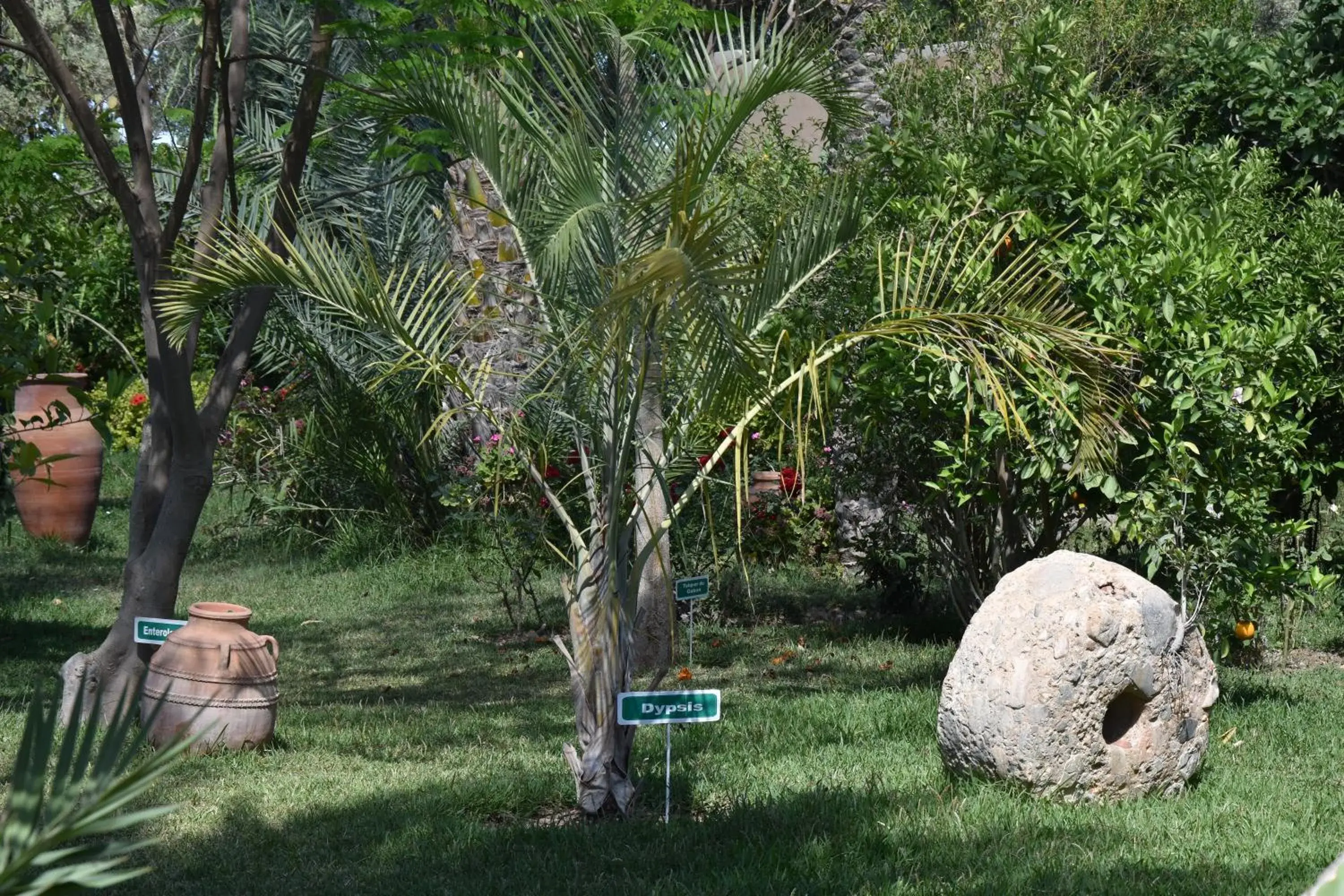 Garden in Hotel Dar Zitoune Taroudant