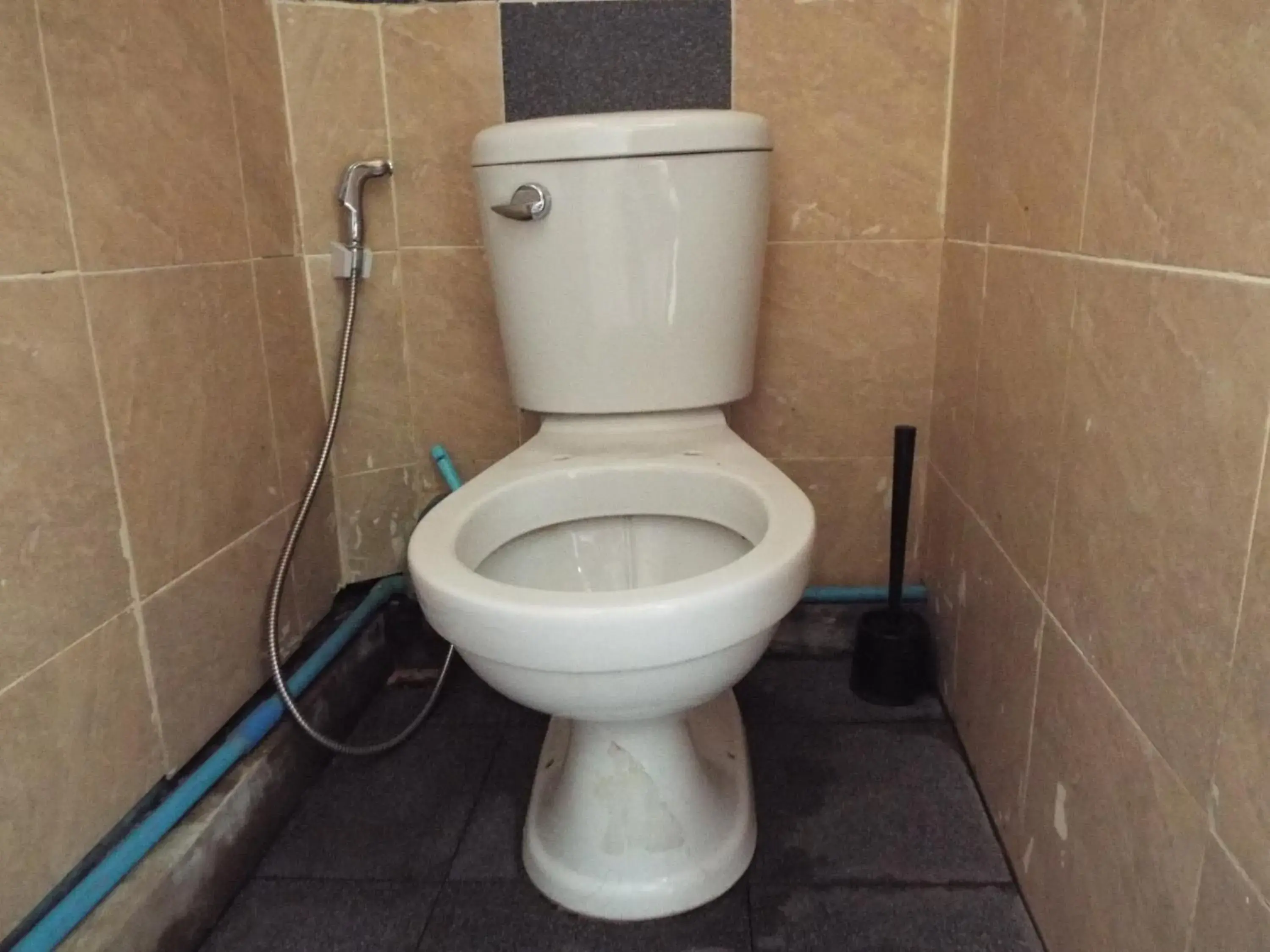 Bathroom in hostel24