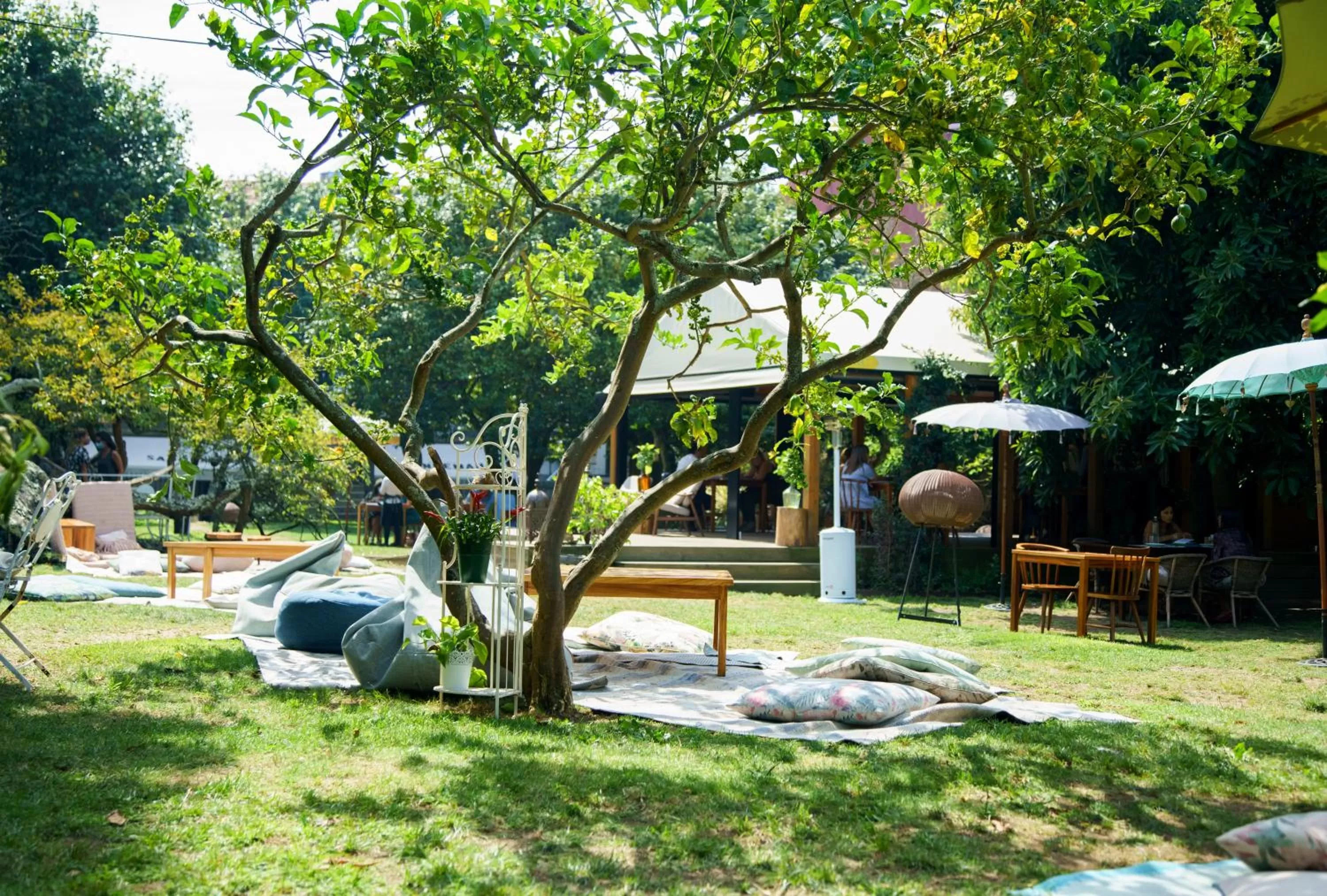 Garden in Oporto Loft