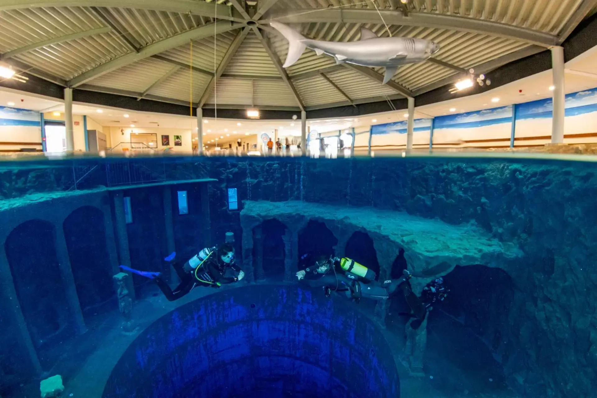 Diving, Swimming Pool in Friendly Cityhotel Oktopus