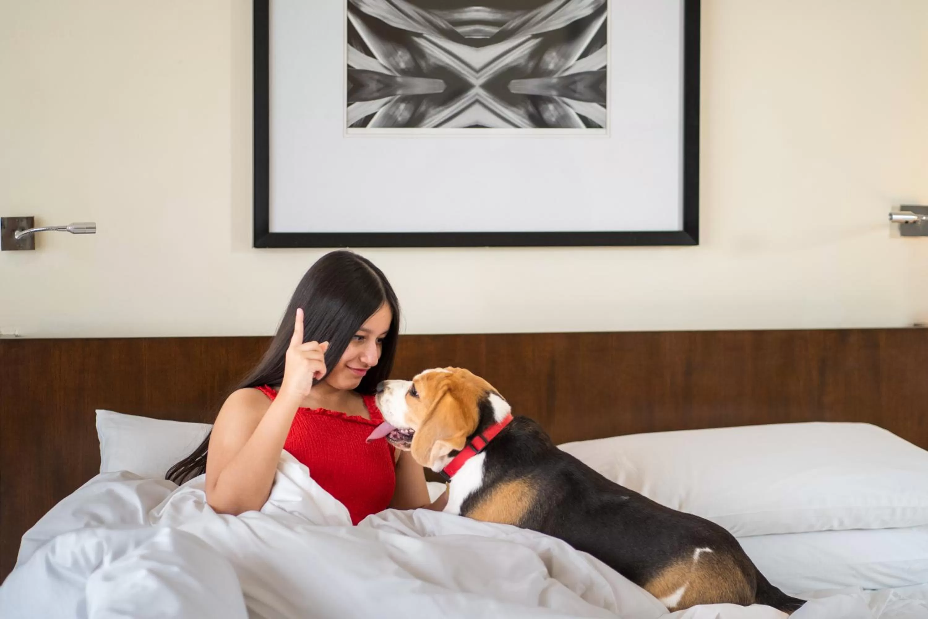 Pets in Hyatt Hyderabad Gachibowli