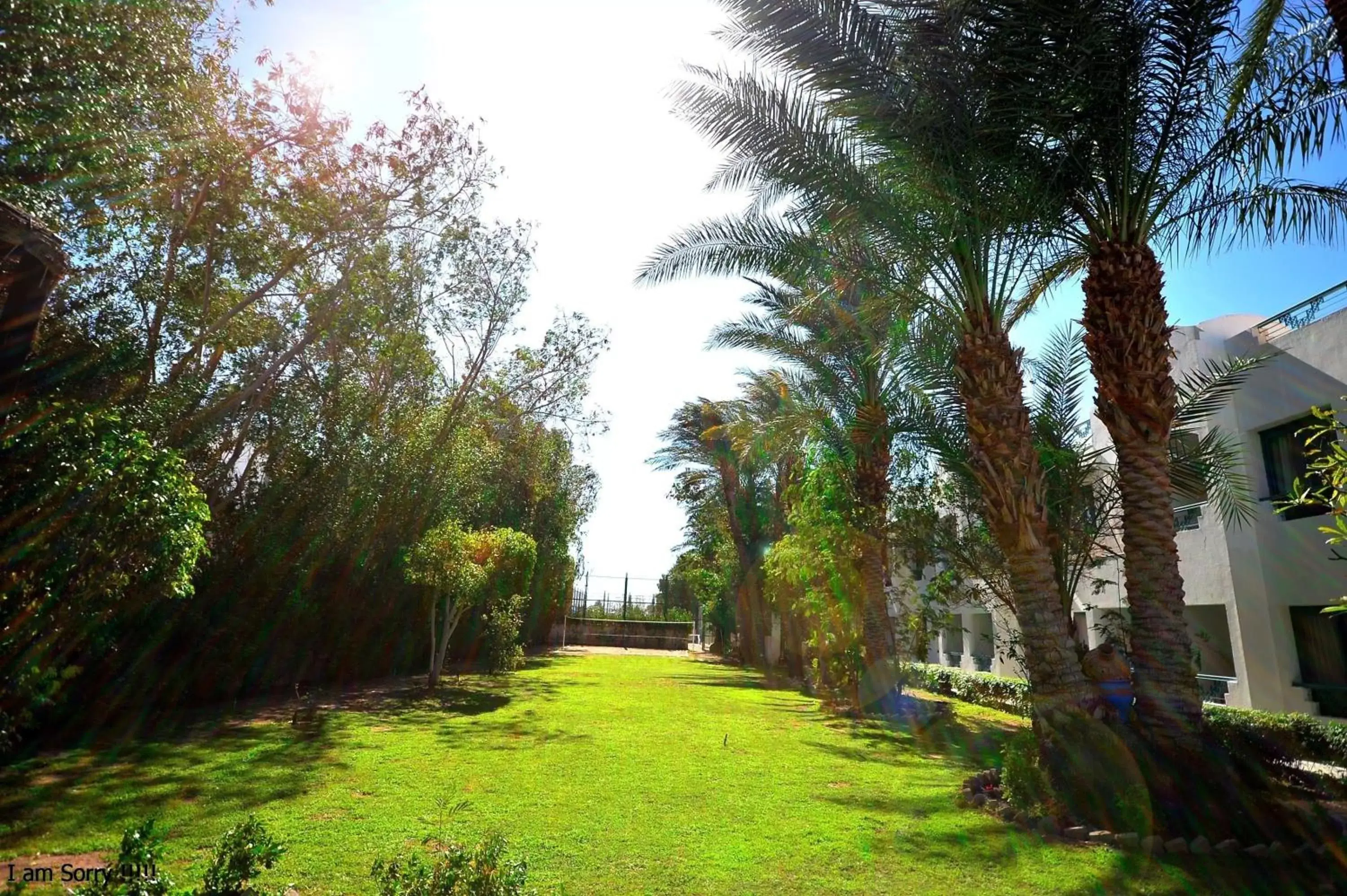 Garden in Falcon Hills Hotel