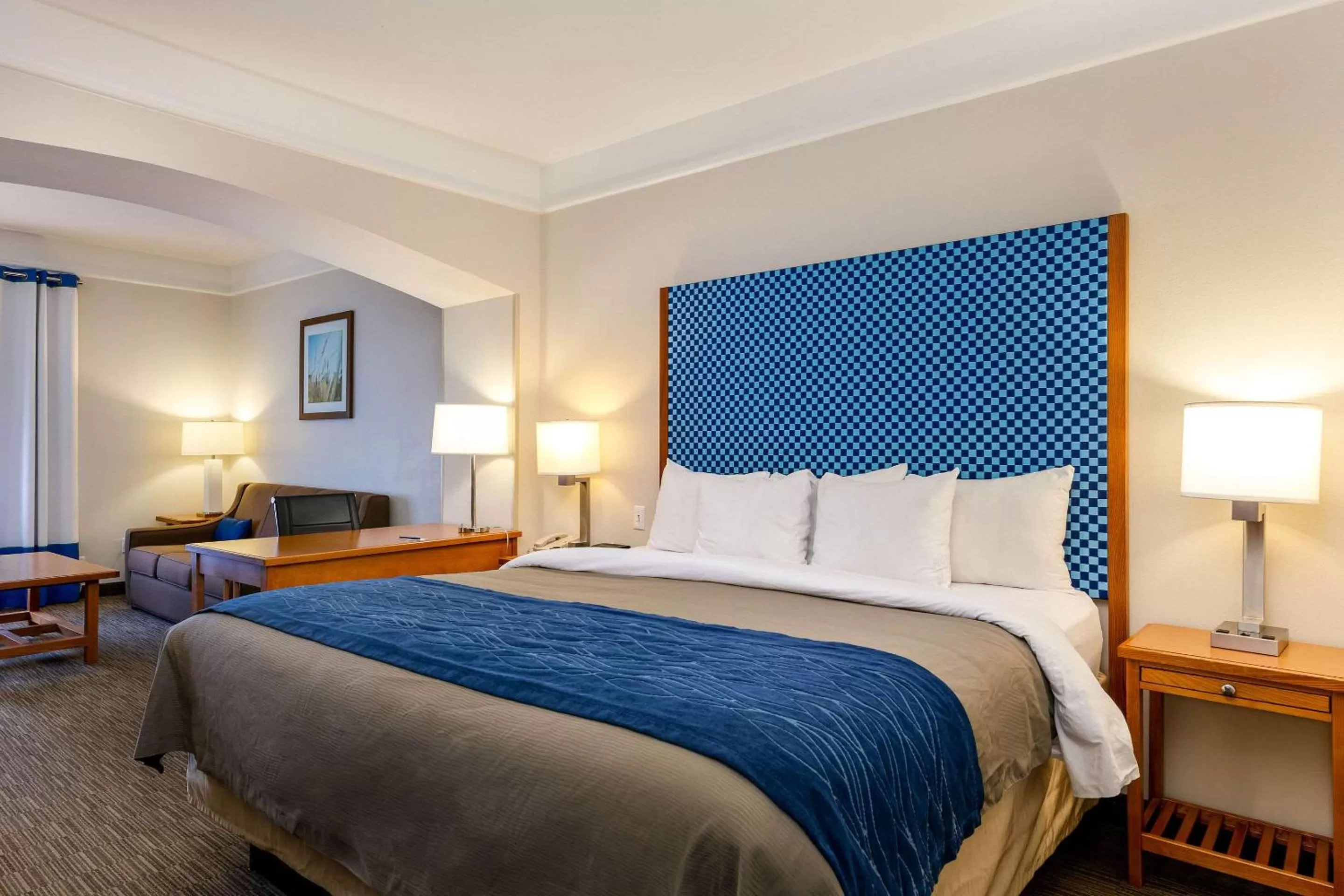 Executive King Suite - Non-Smoking in Comfort Inn & Suites Savannah Airport