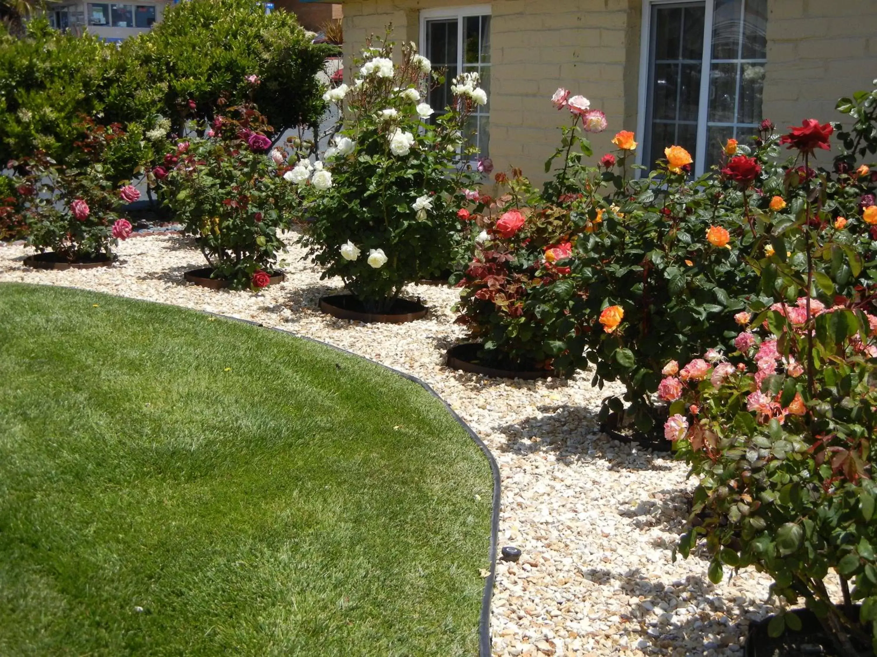 Garden in Seaside Inn Monterey