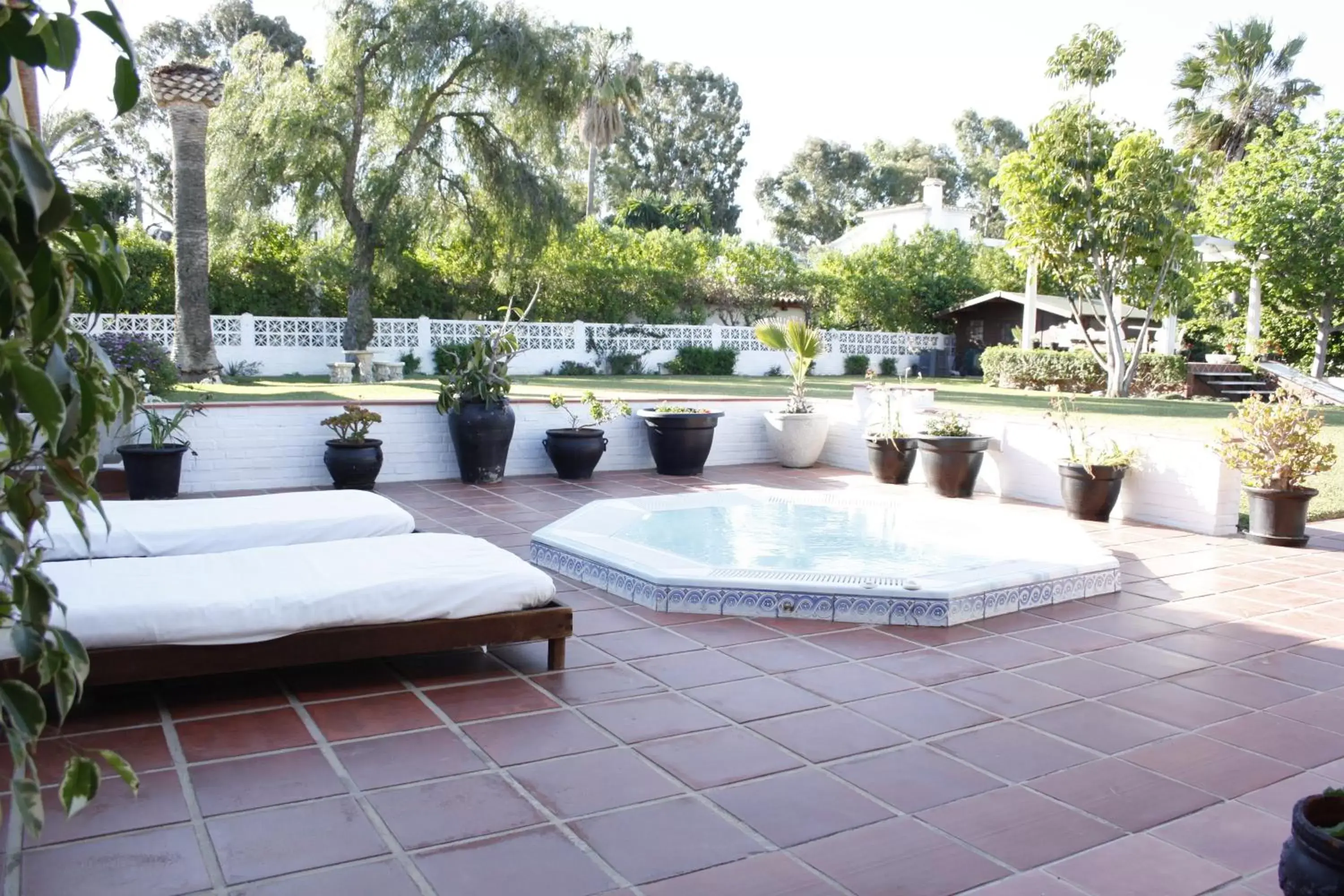 Garden, Swimming Pool in Hotel Malaga Picasso