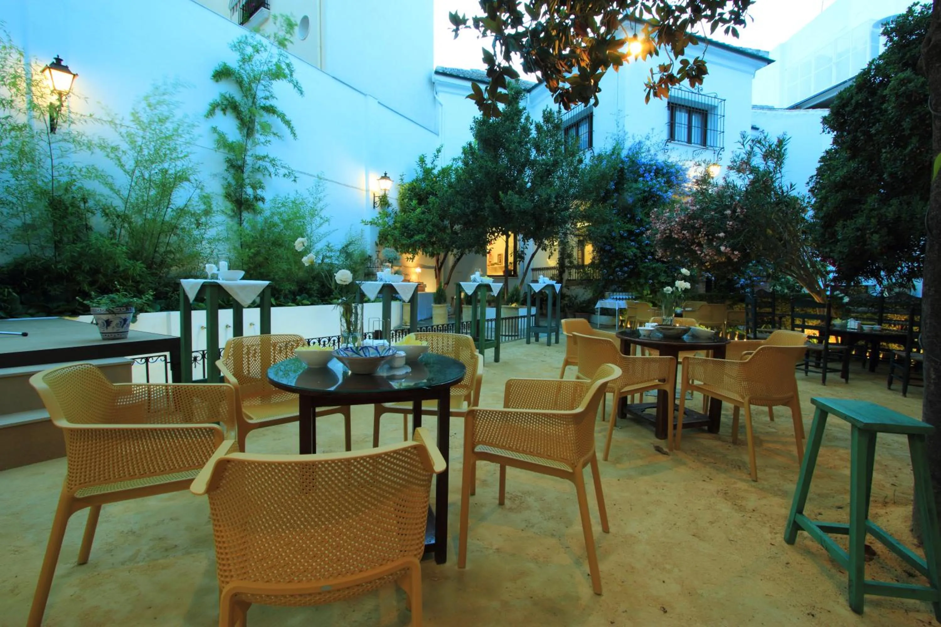 Restaurant/places to eat in Hotel Patria Chica