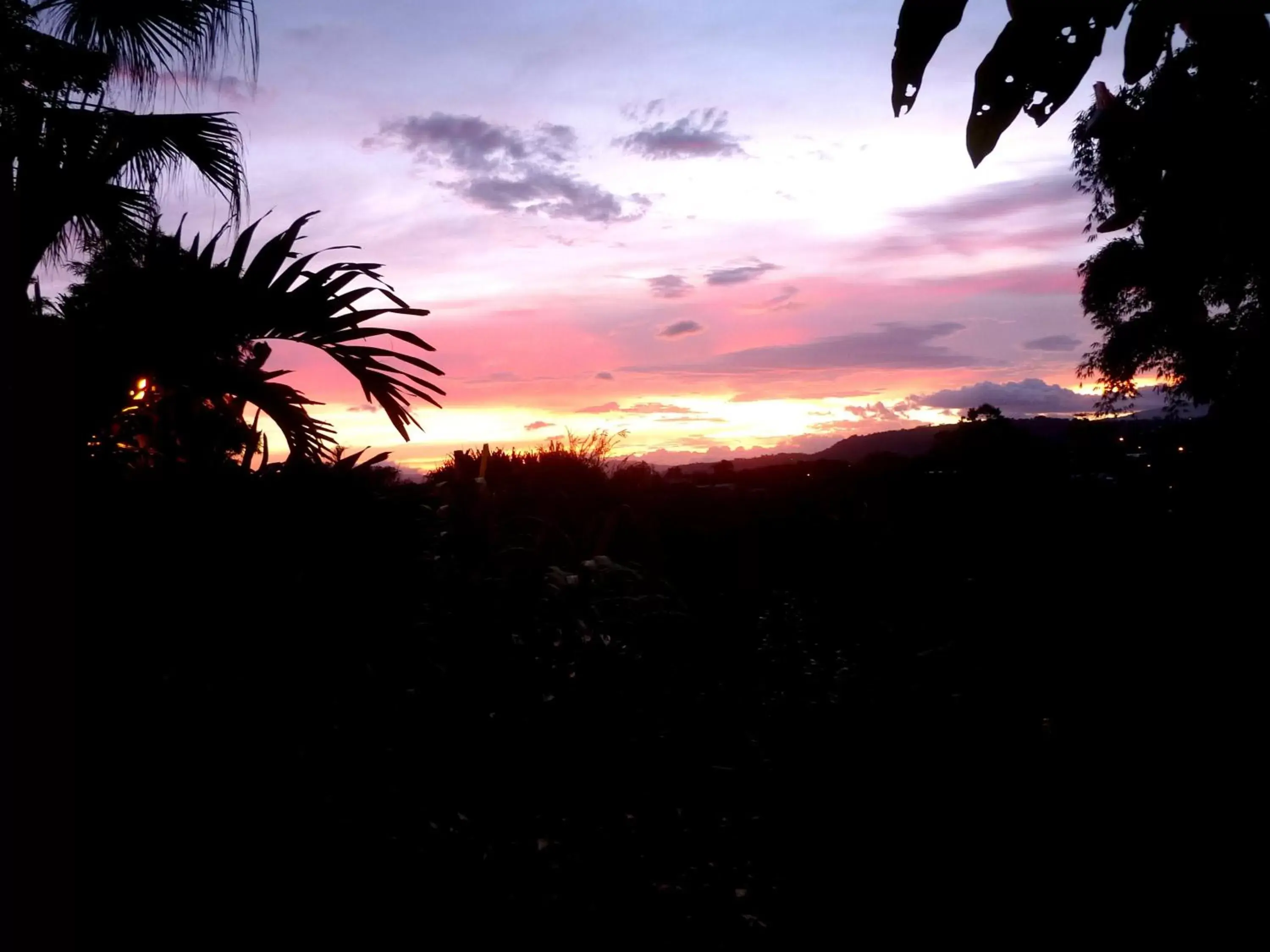 Garden view, Sunrise/Sunset in Pura Vida Hotel
