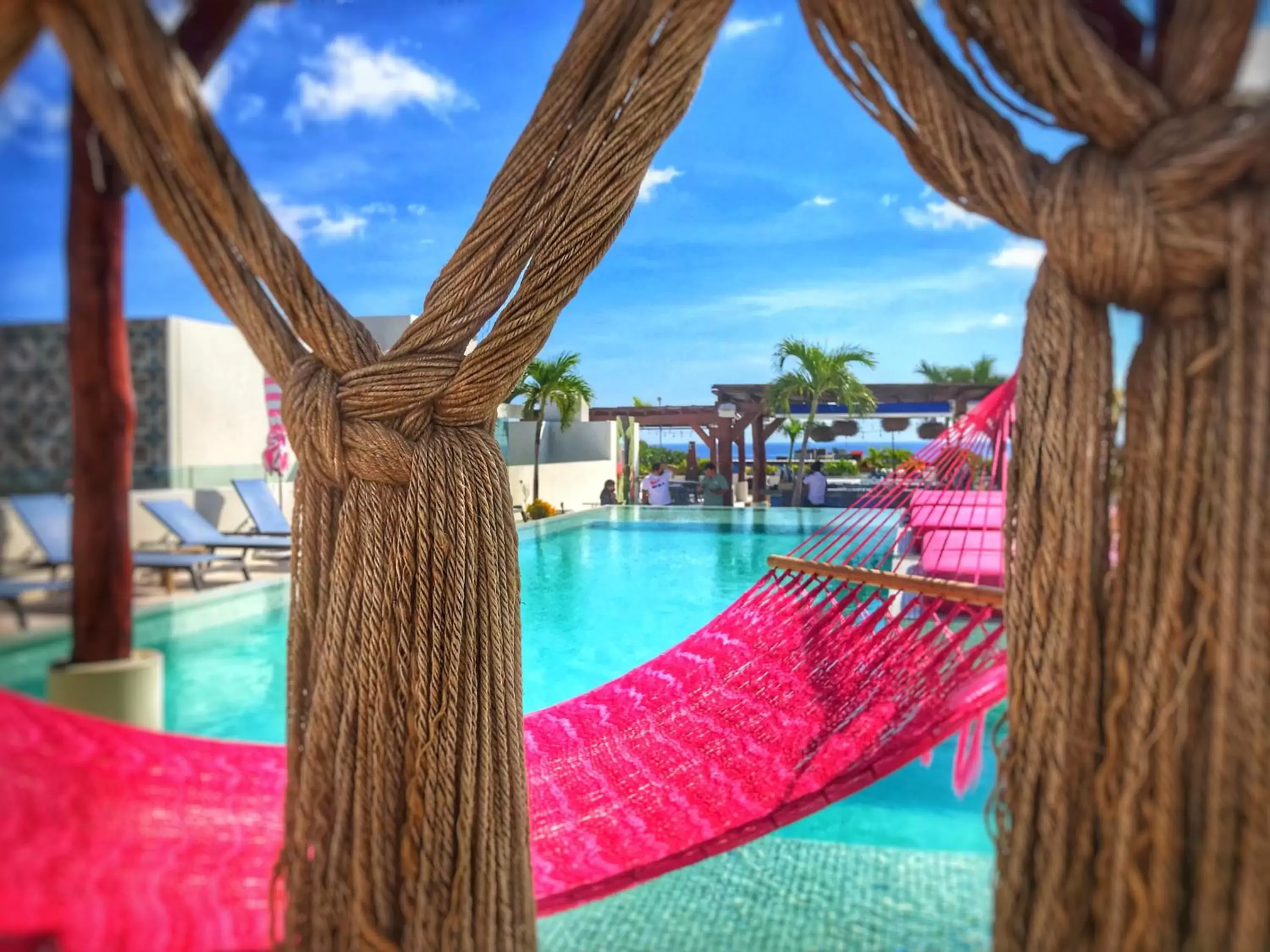 Pool view, Swimming Pool in The Palm at Playa