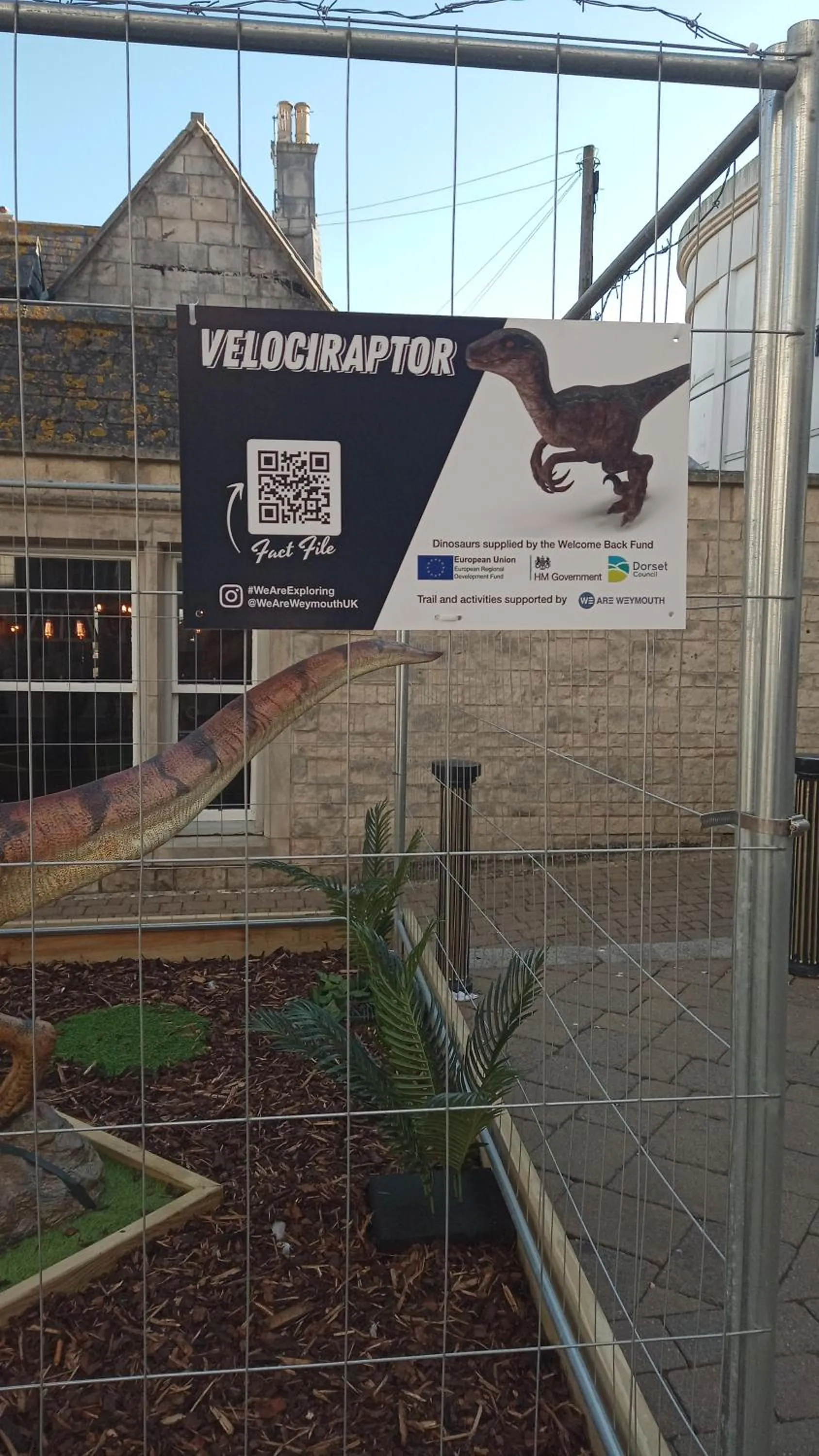 Certificate/Award in The Wilton Weymouth