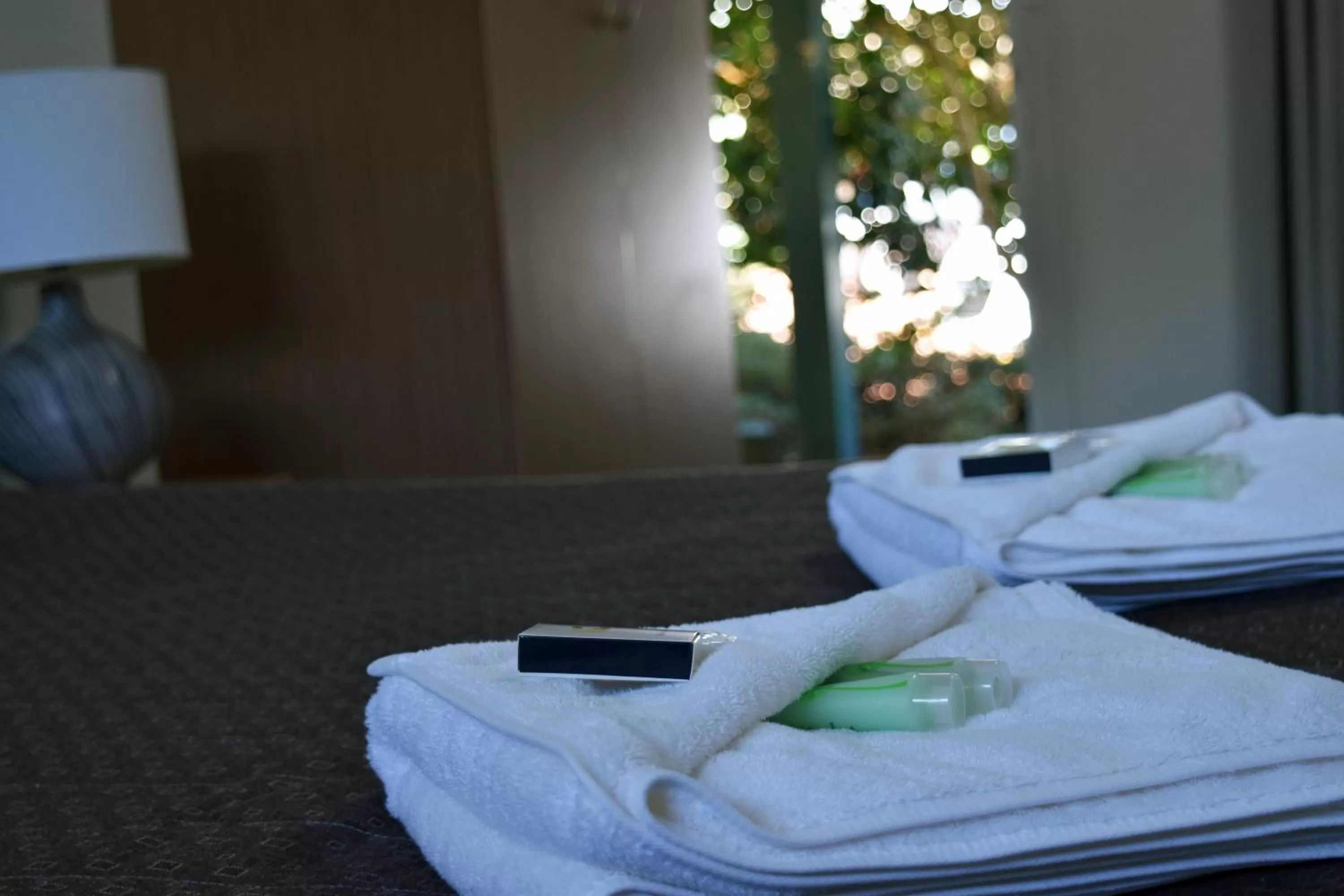 Ten Dollar Town Motel