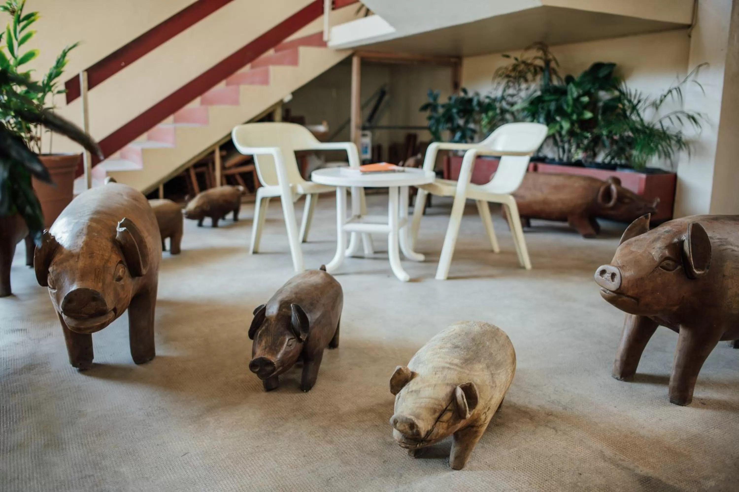 Facility for disabled guests in Kaiviti Motel