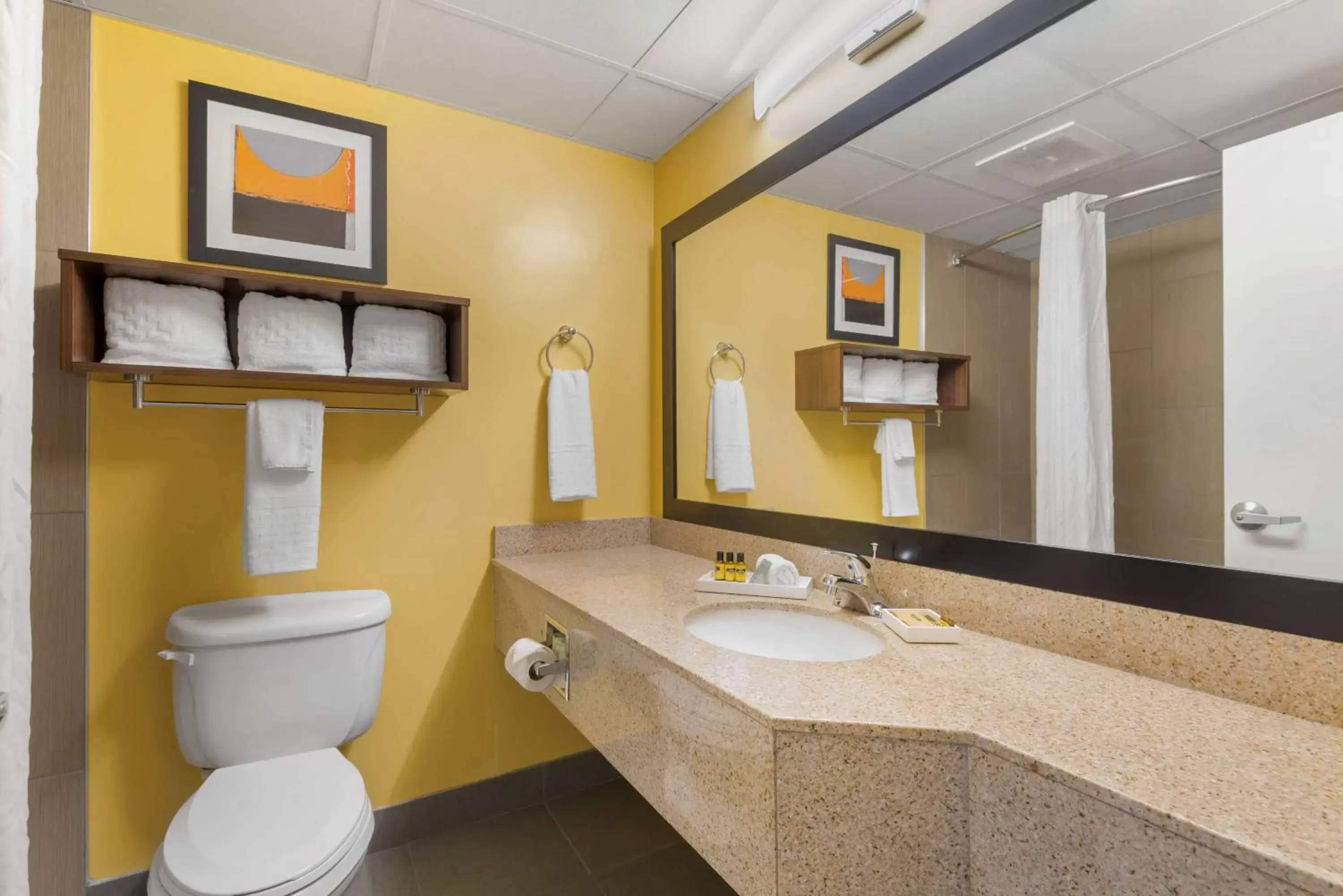 Bathroom in Best Western Plus Suites Greenville