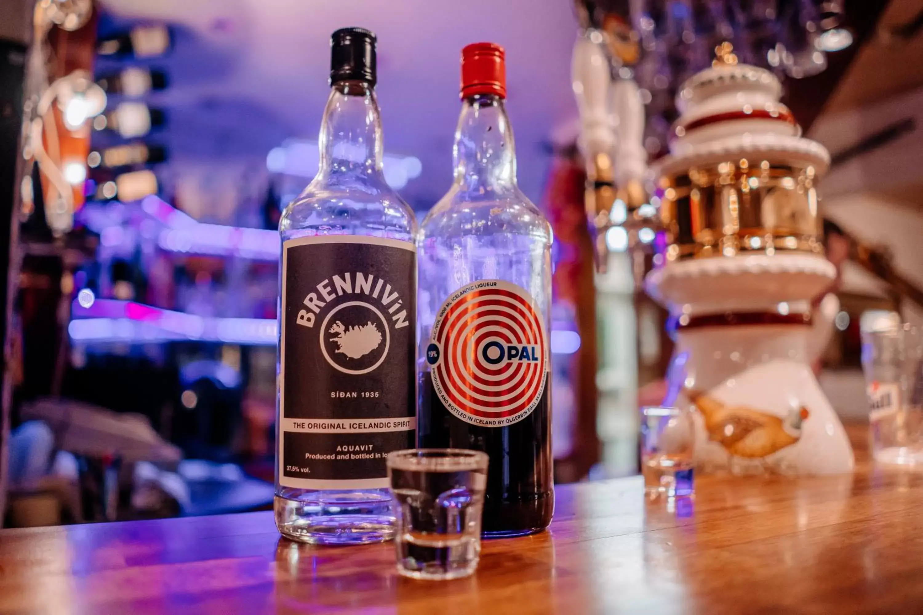 Lounge or bar in Hotel Laxnes Lounge or bar in Hotel Laxnes