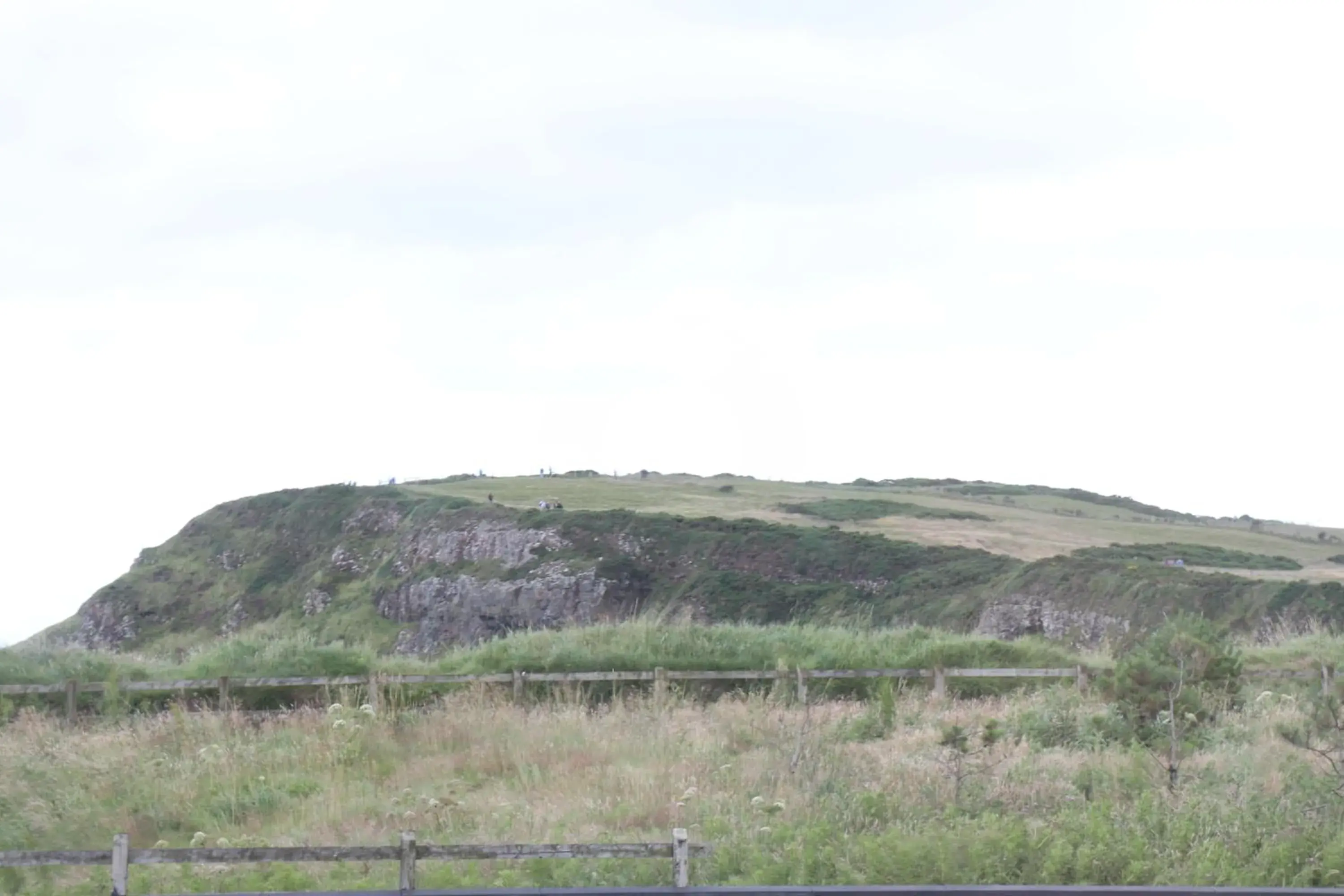 Natural Landscape in Causeway Hotel