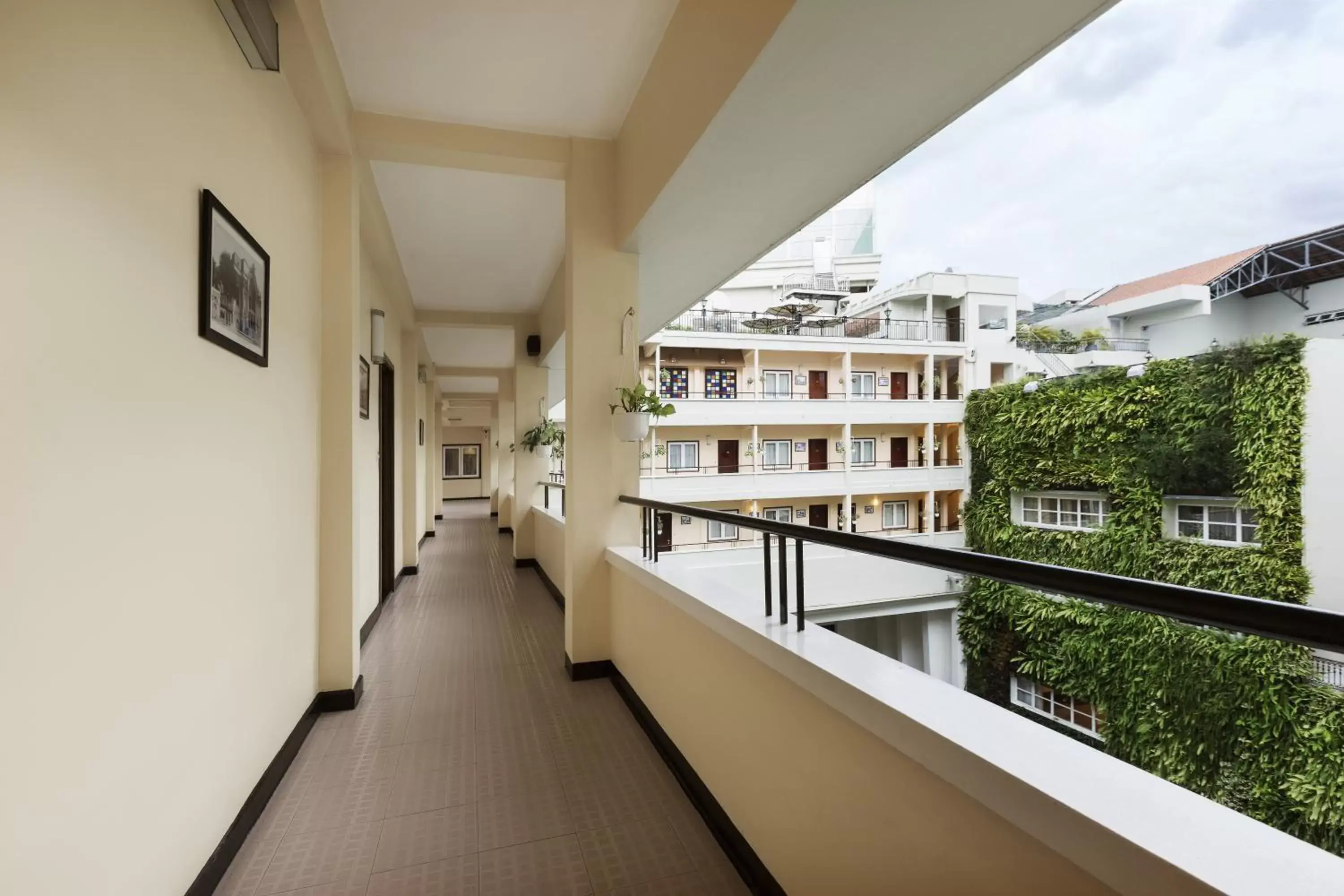 Balcony/Terrace in Rex Hotel