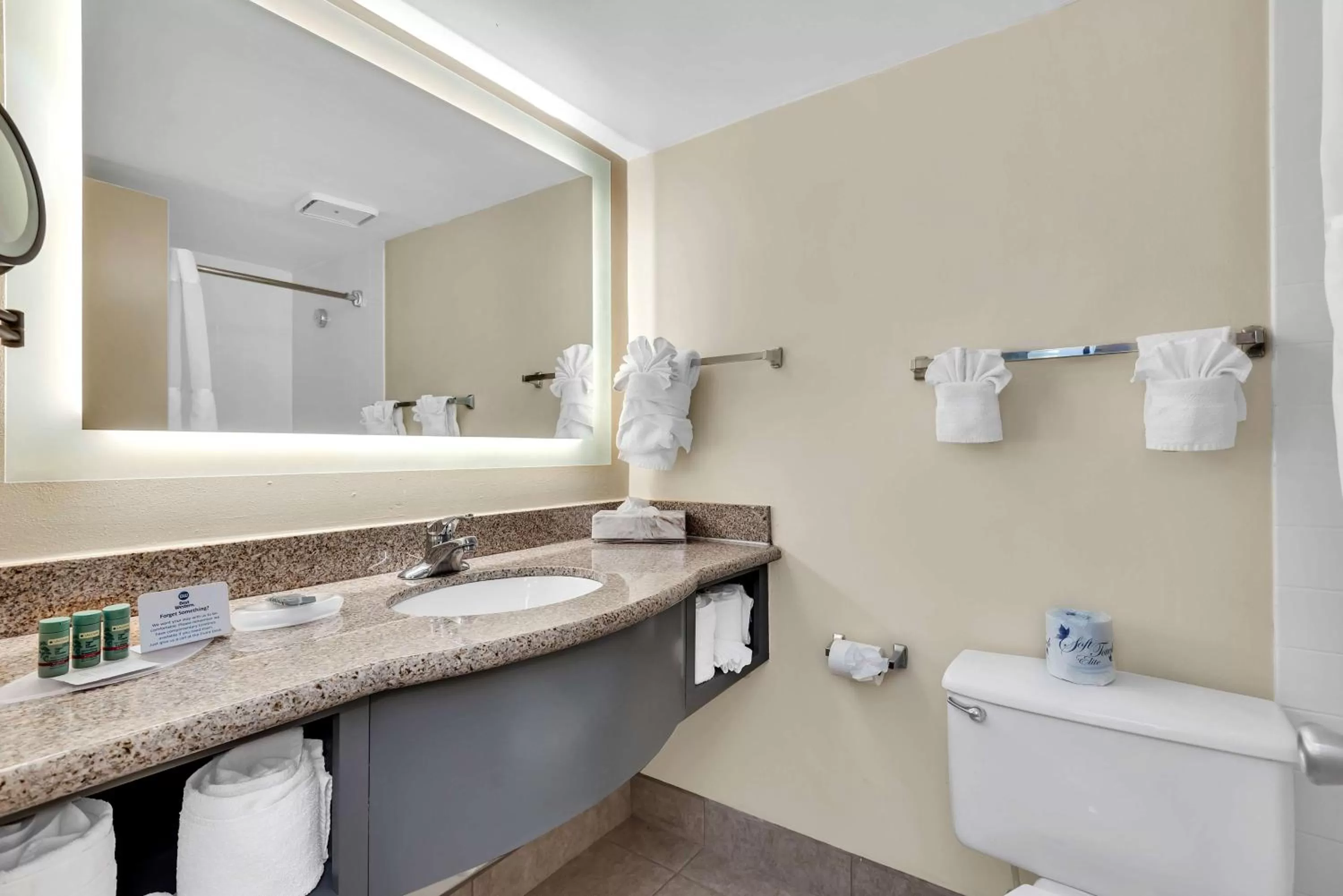 Bathroom in Best Western Orlando Gateway Hotel