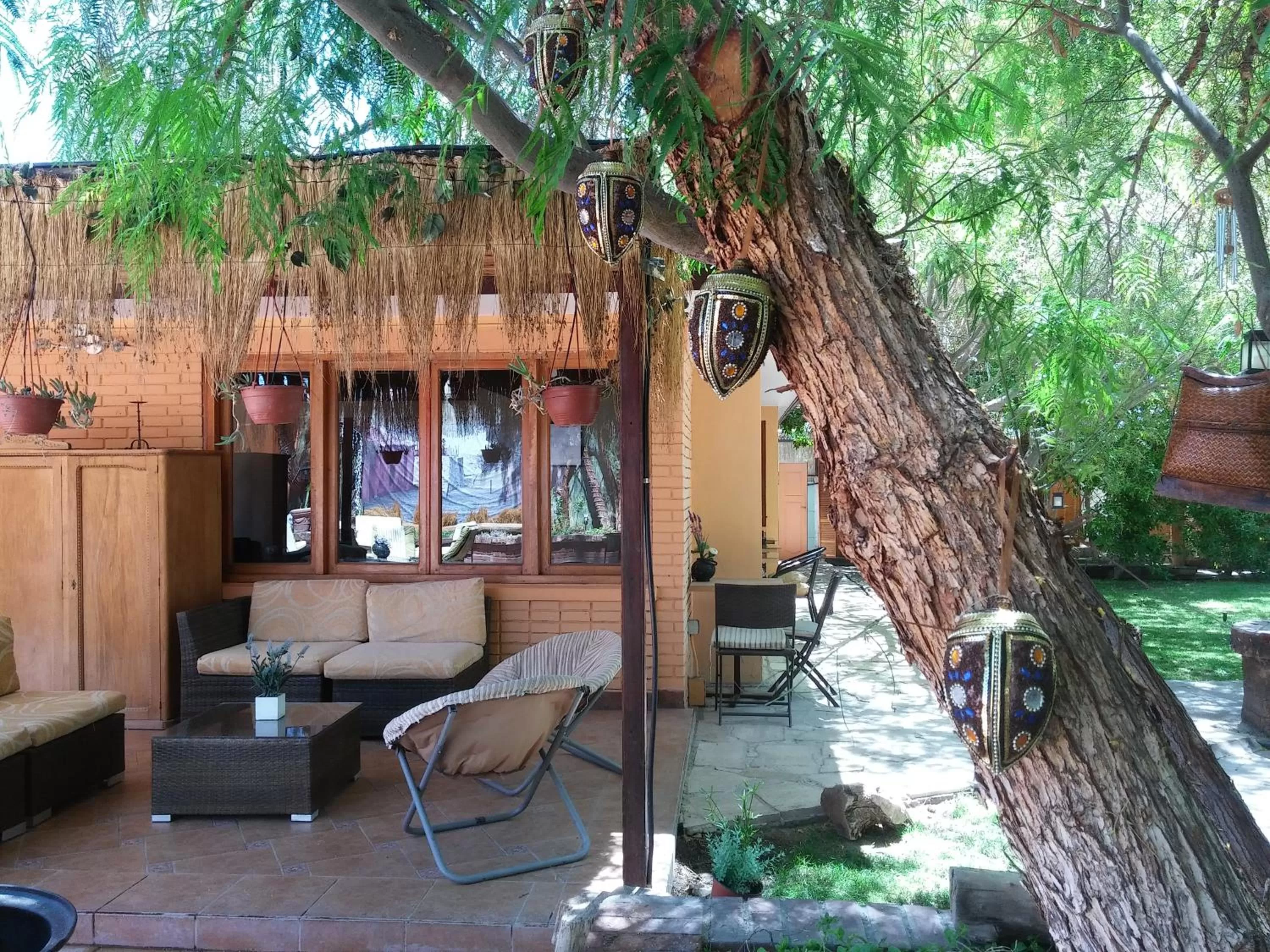 Garden in Atankalama