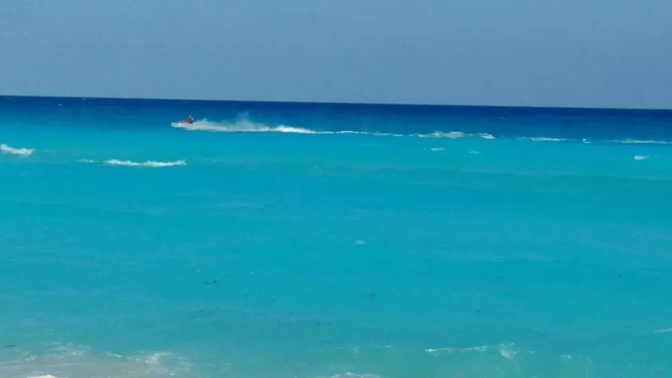 Natural landscape in Apartment Ocean Front Cancun