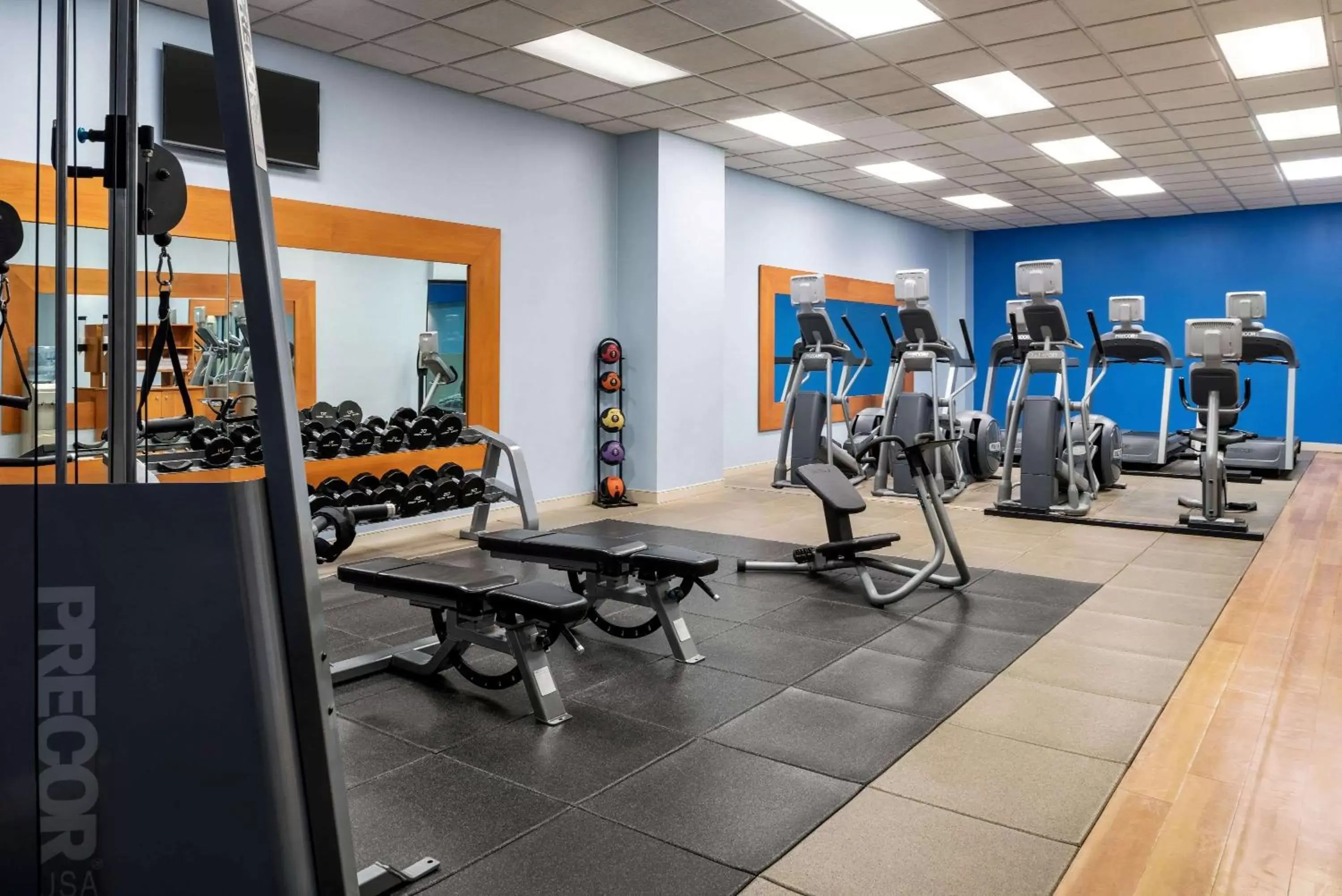 Activities, Fitness Center/Facilities in Wyndham Springfield City Centre