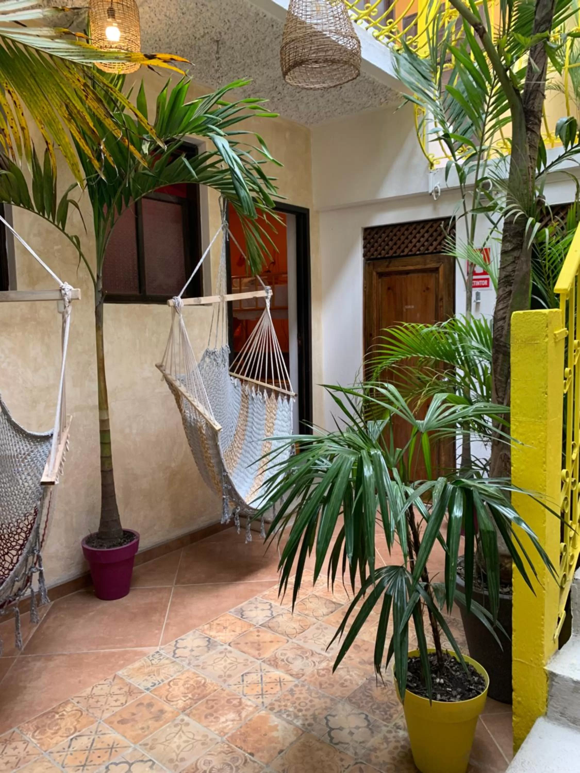 Patio in Why Not Hotel