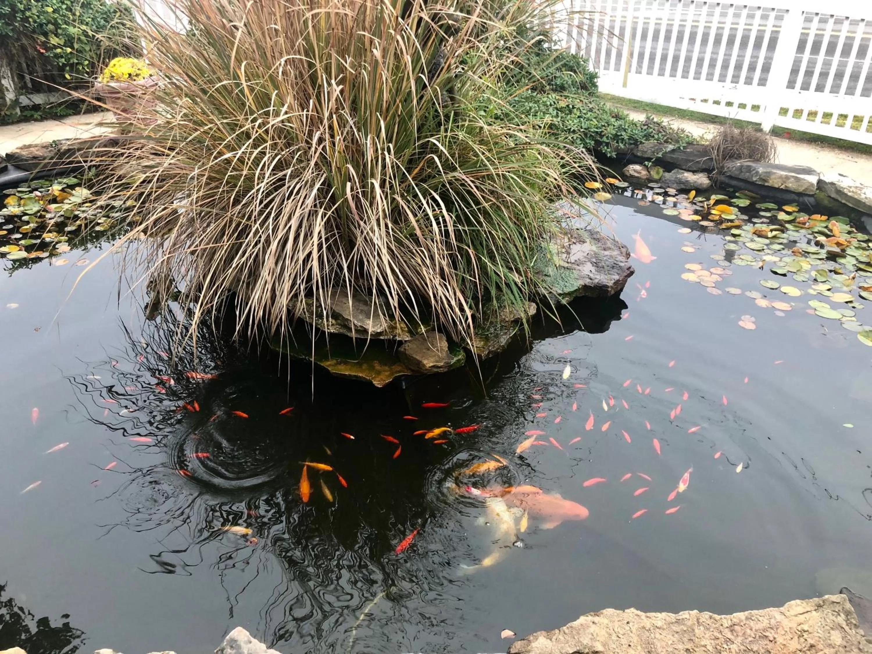Garden in Honeysuckle Inn & Conference Center